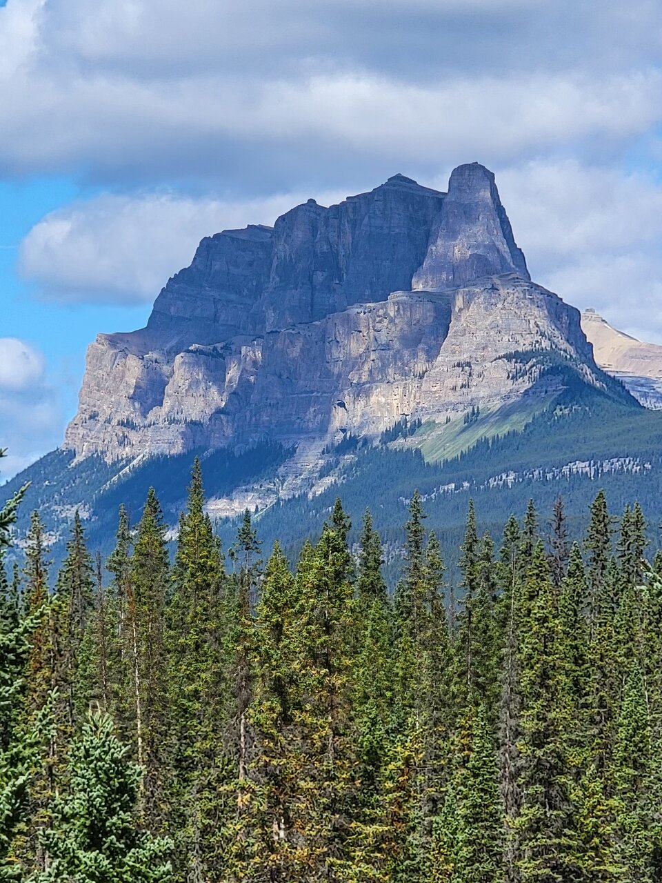 20210828_121752.jpg