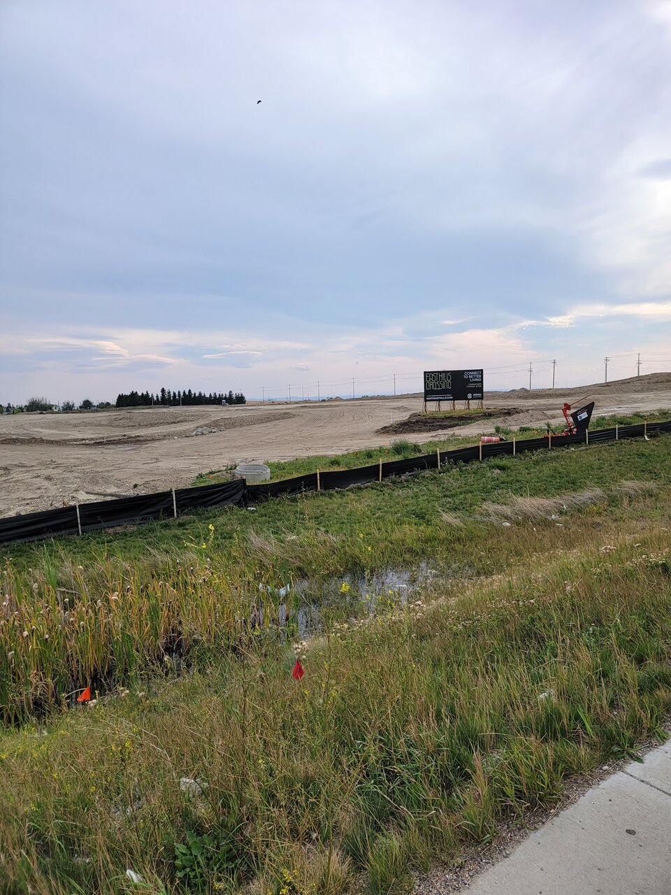 20210905_171452.jpg