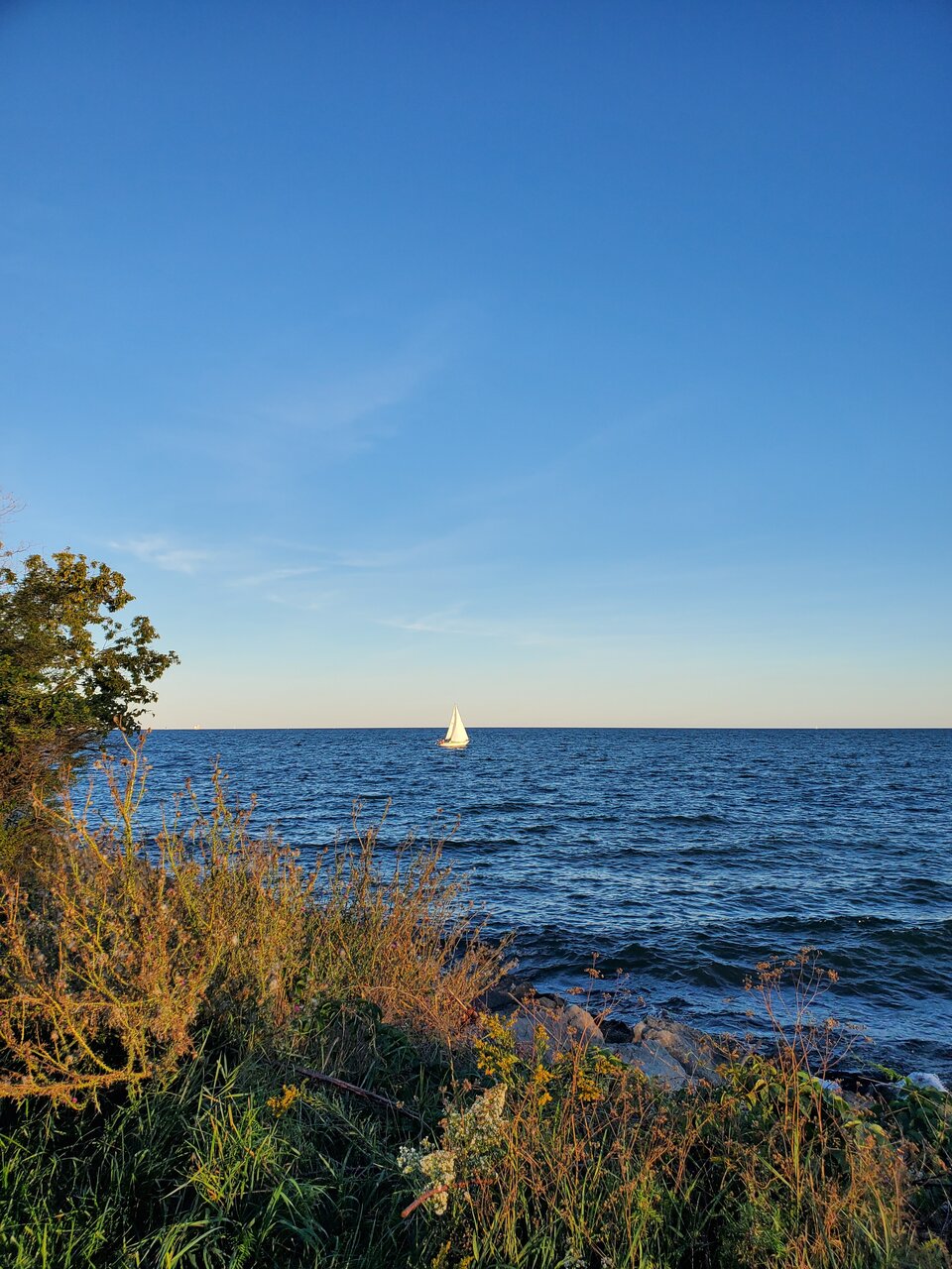 20210919_184705.jpg