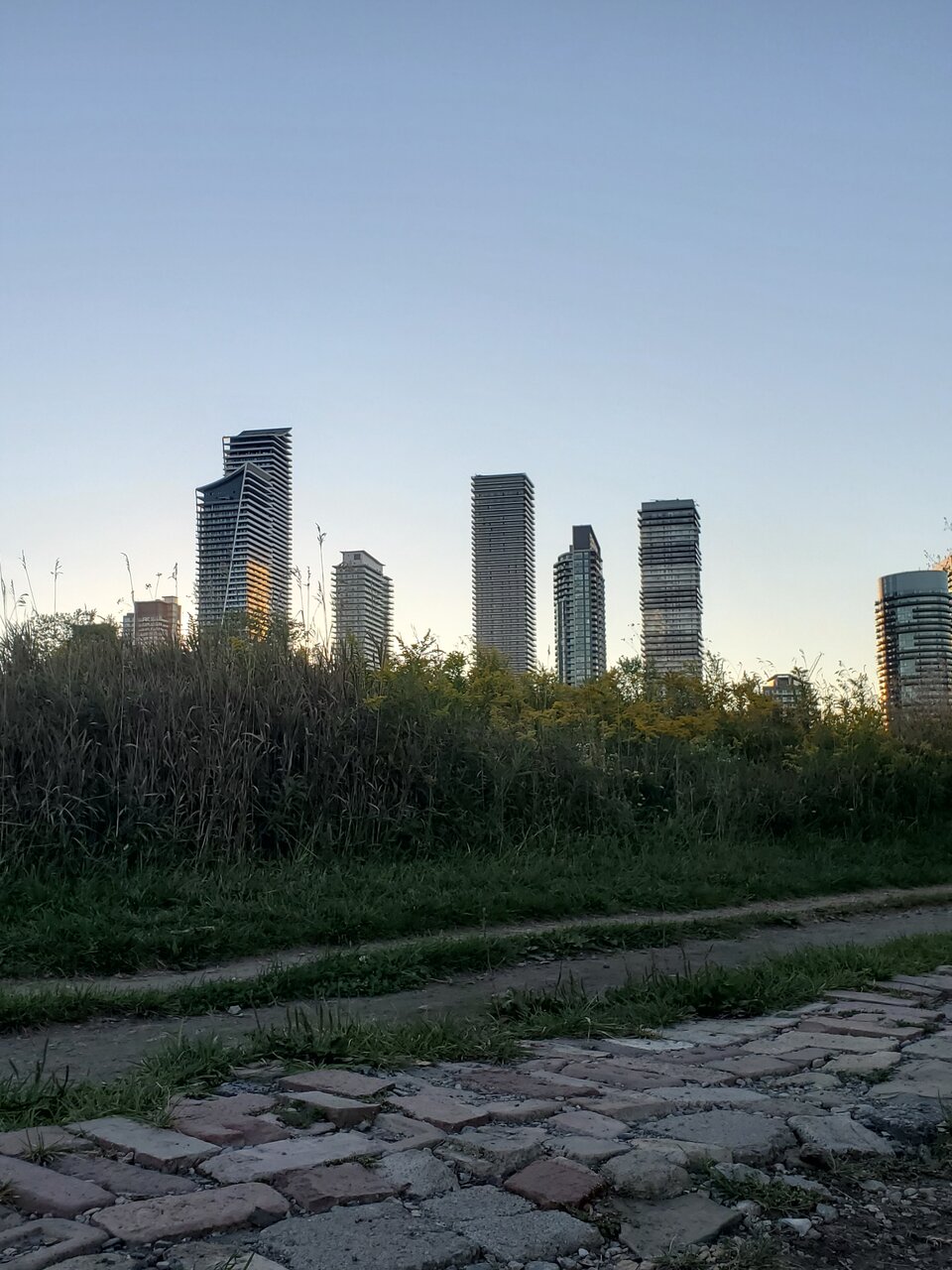 20210919_185950.jpg