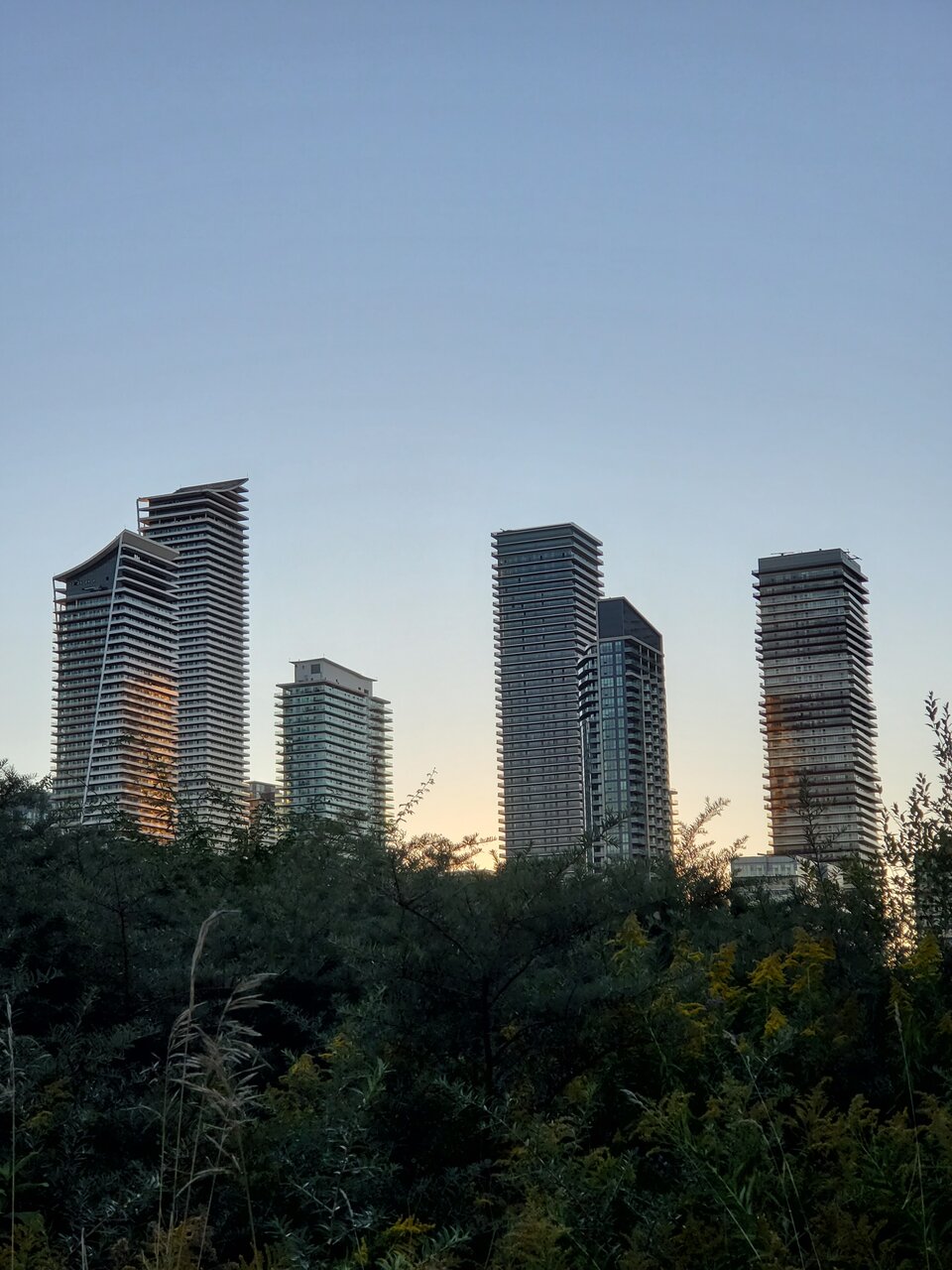 20210919_190543.jpg