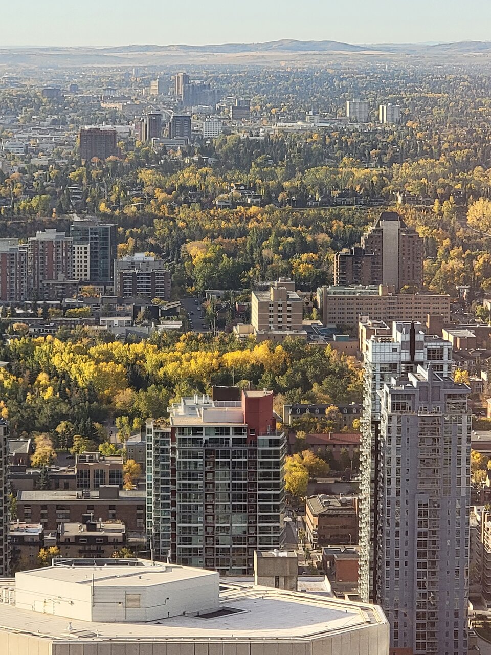 20210924_090037.jpg