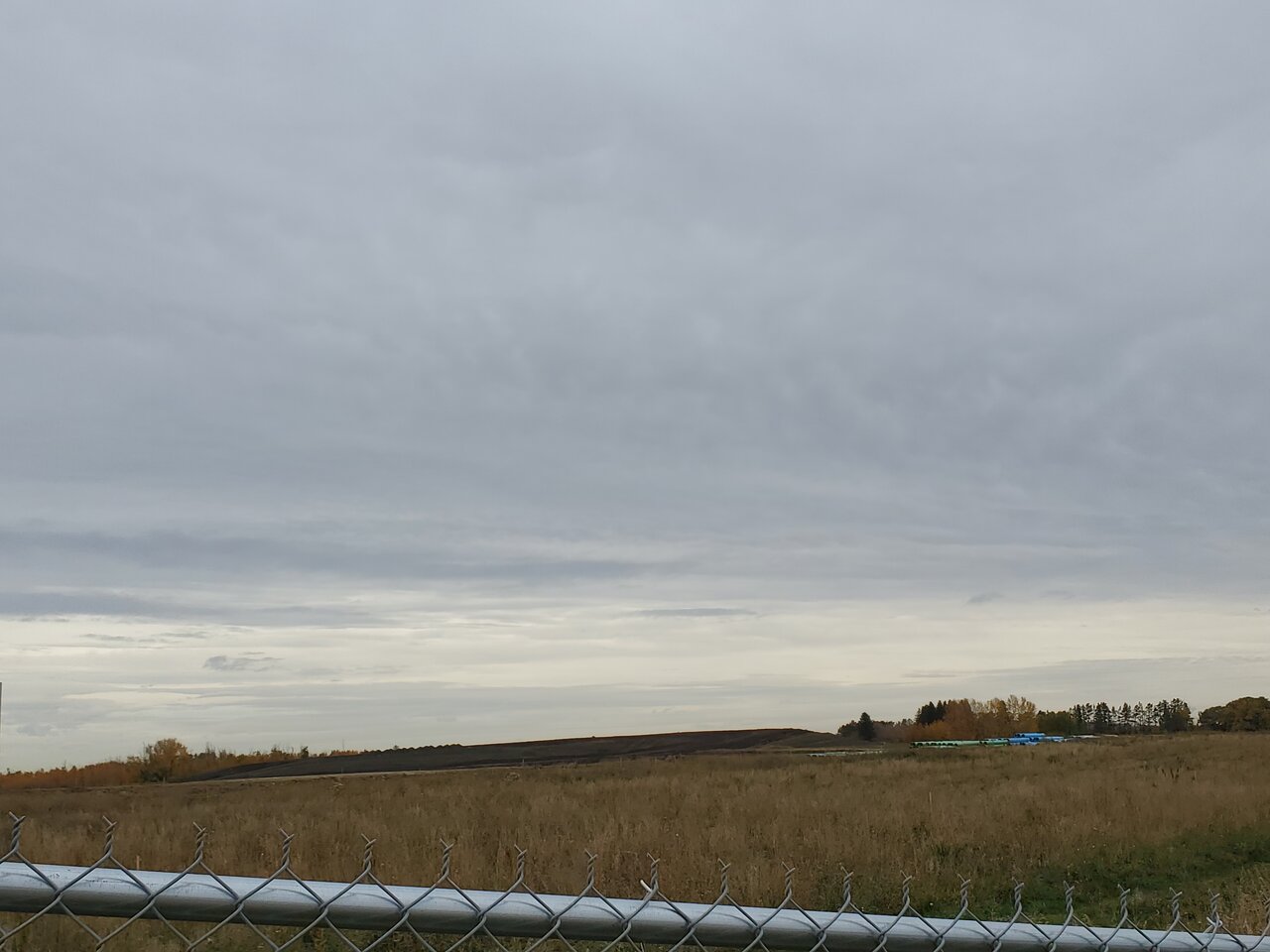 20210930_125644.jpg
