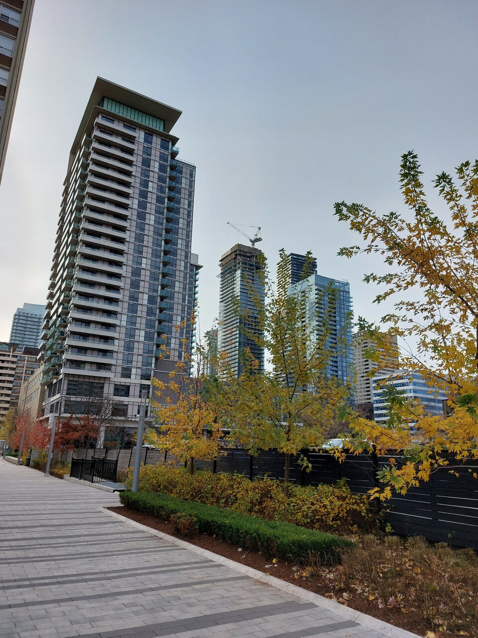 20211120_094016.jpg