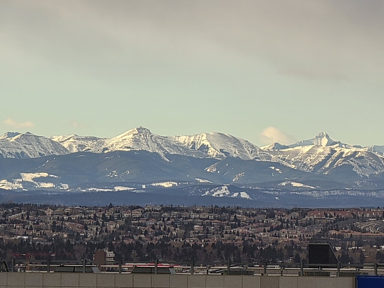 20220126_123915.jpg
