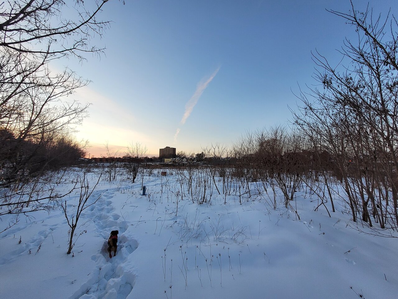 20220205_173321.jpg