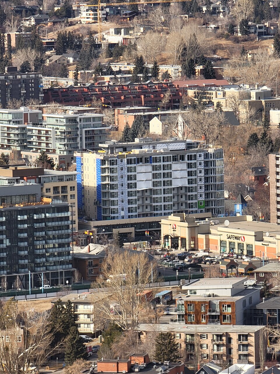 20220211_130701.jpg