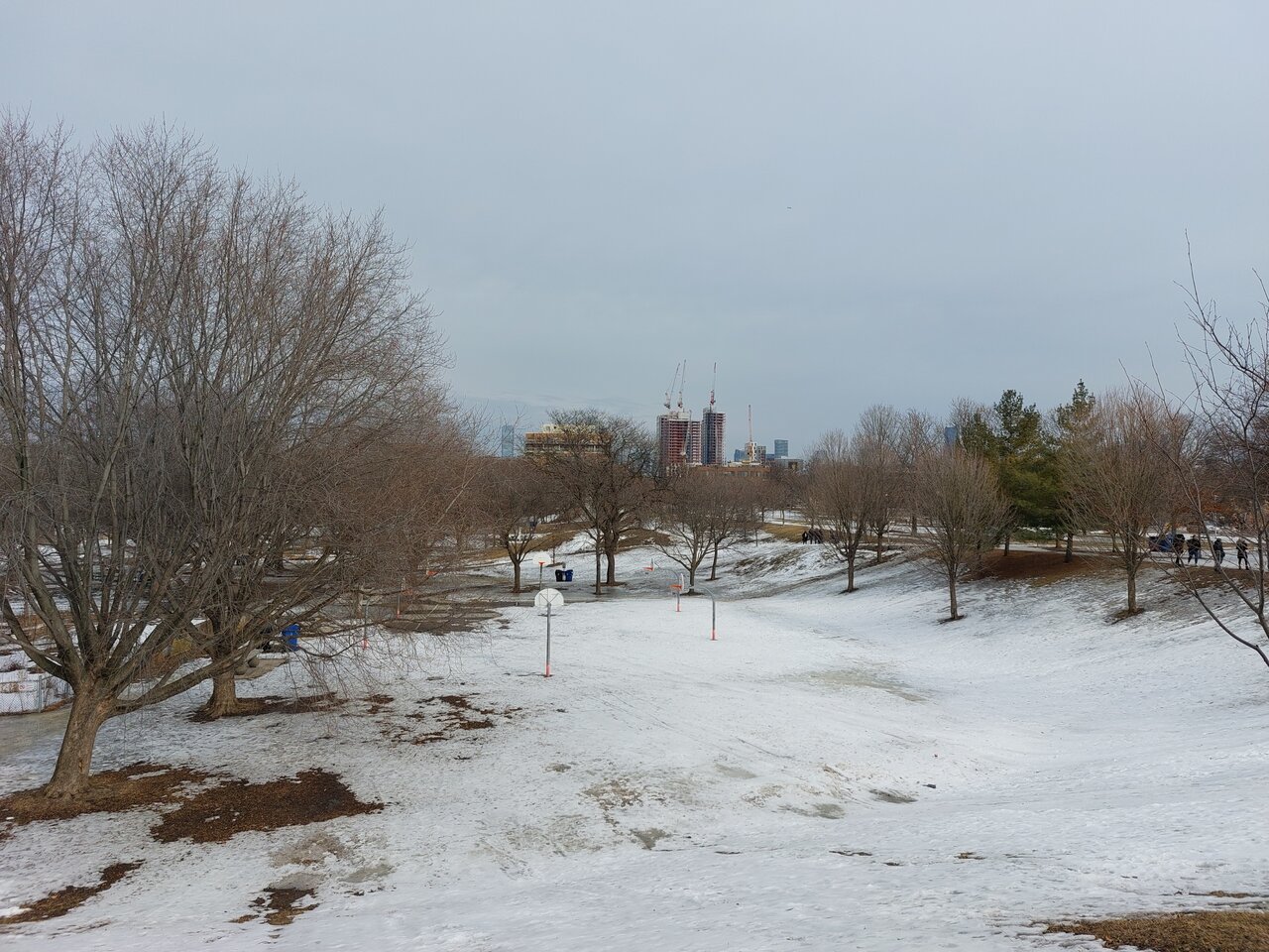 20220305_142037.jpg