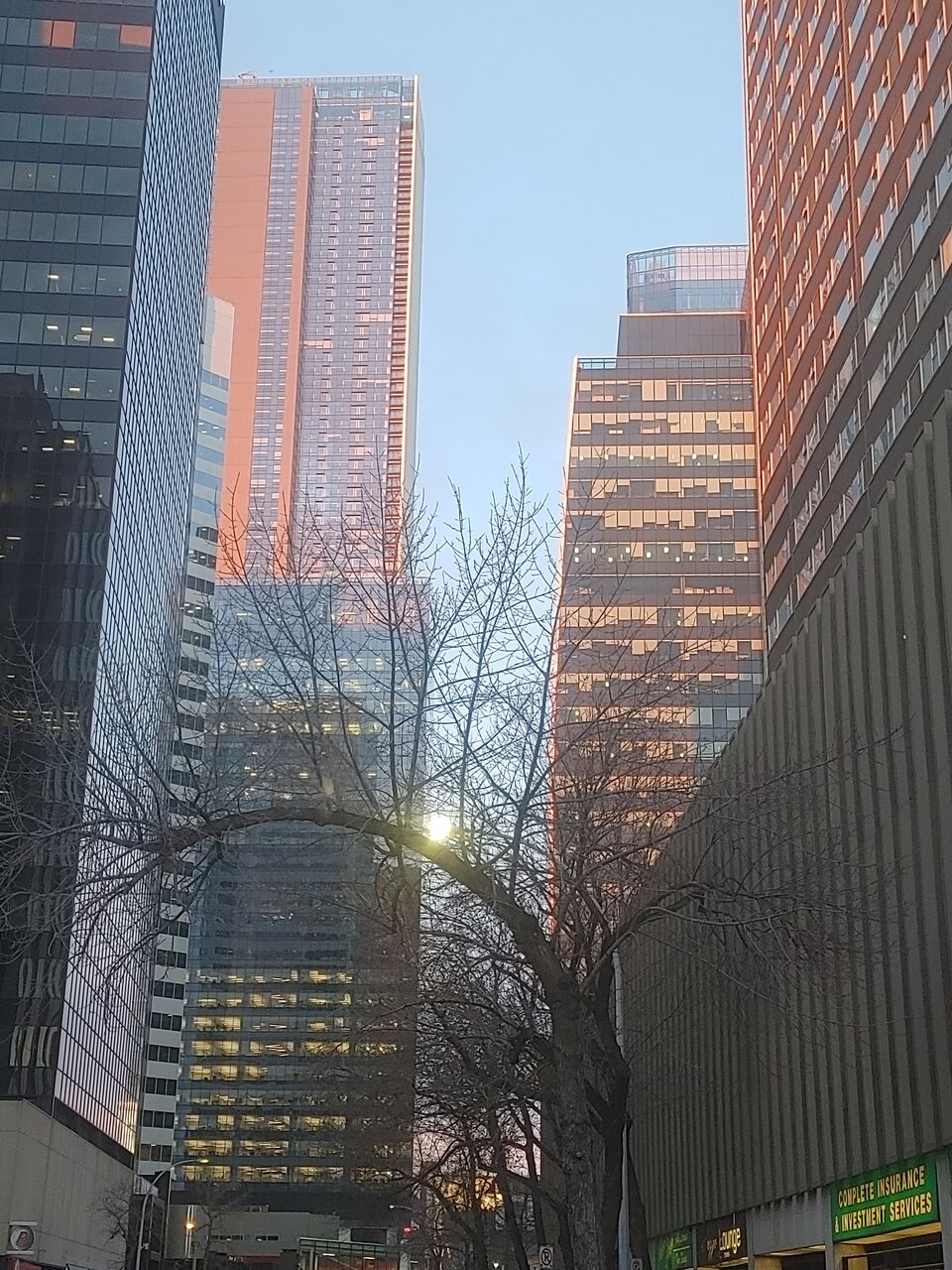 20220316_074741.jpg