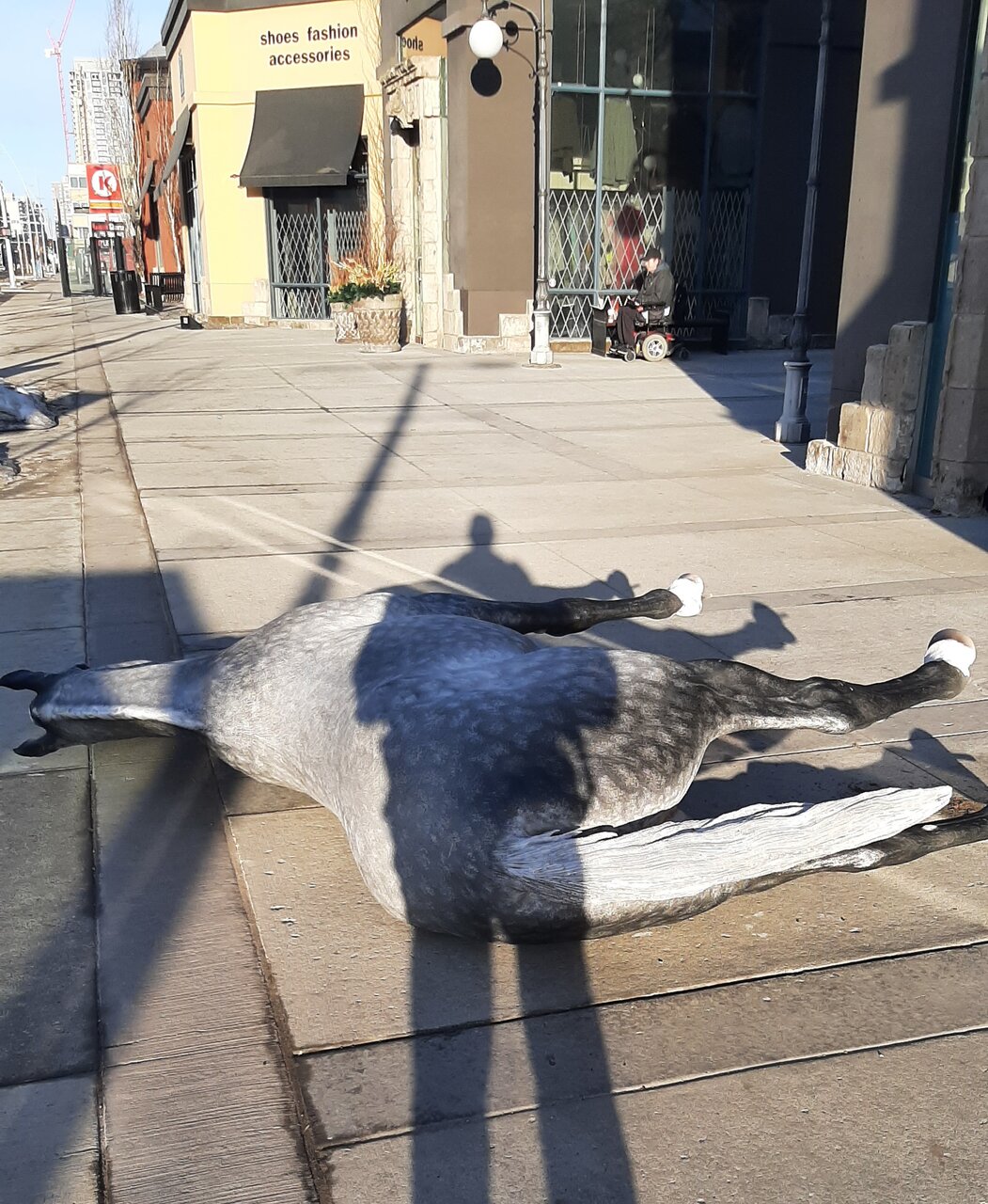 20220319_085550.jpg