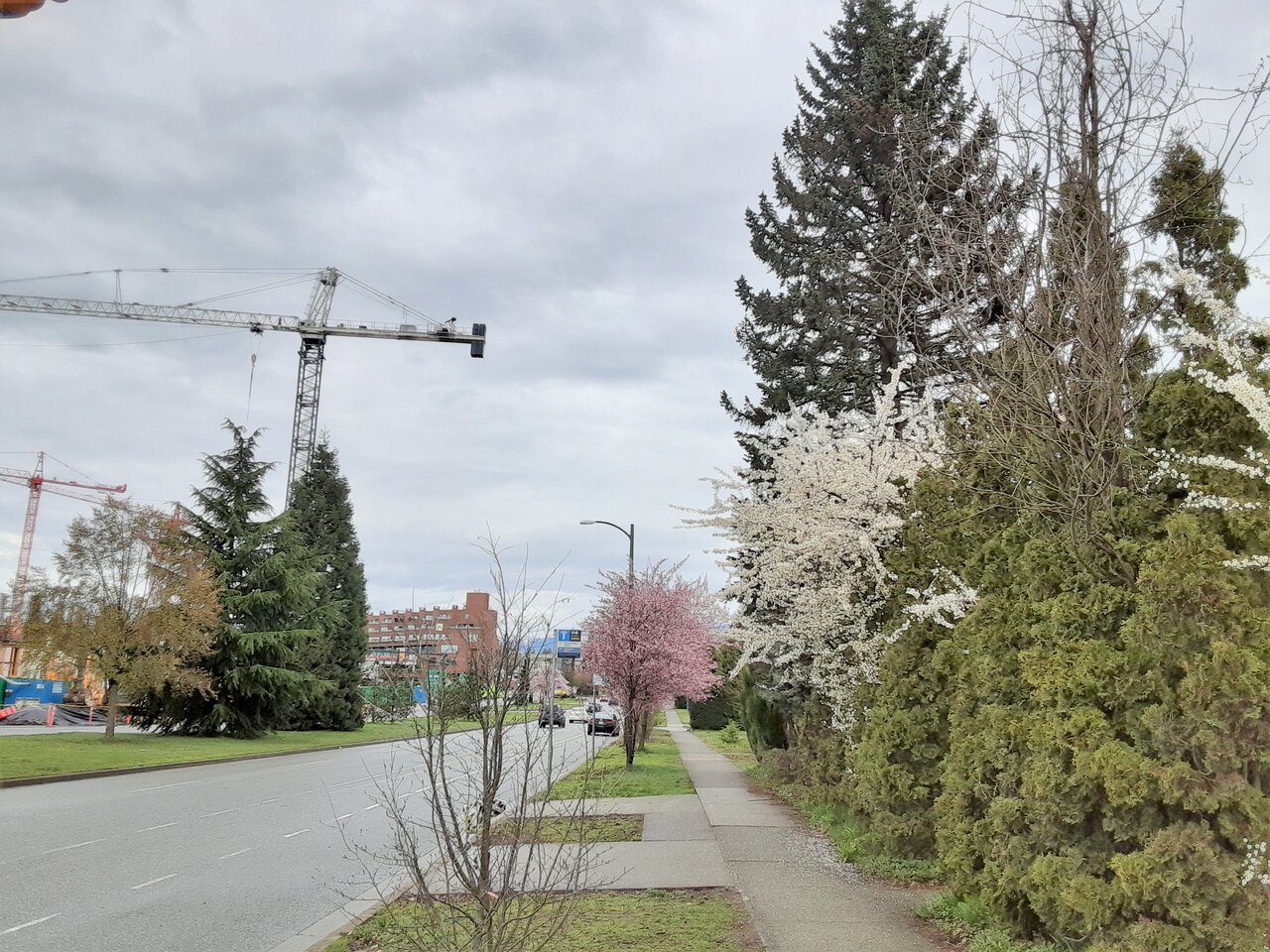 20220327_094217.jpg