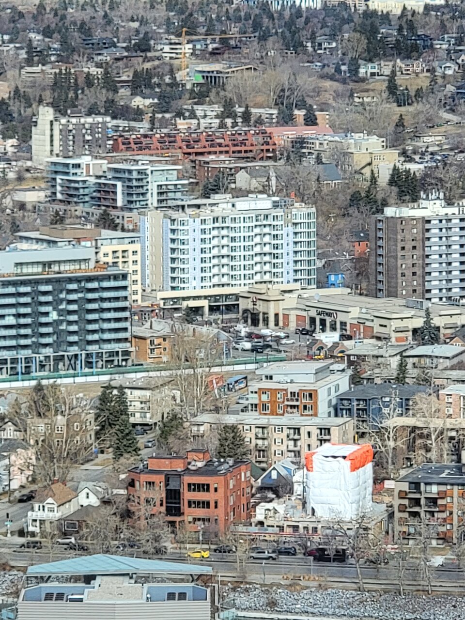 20220331_100126.jpg