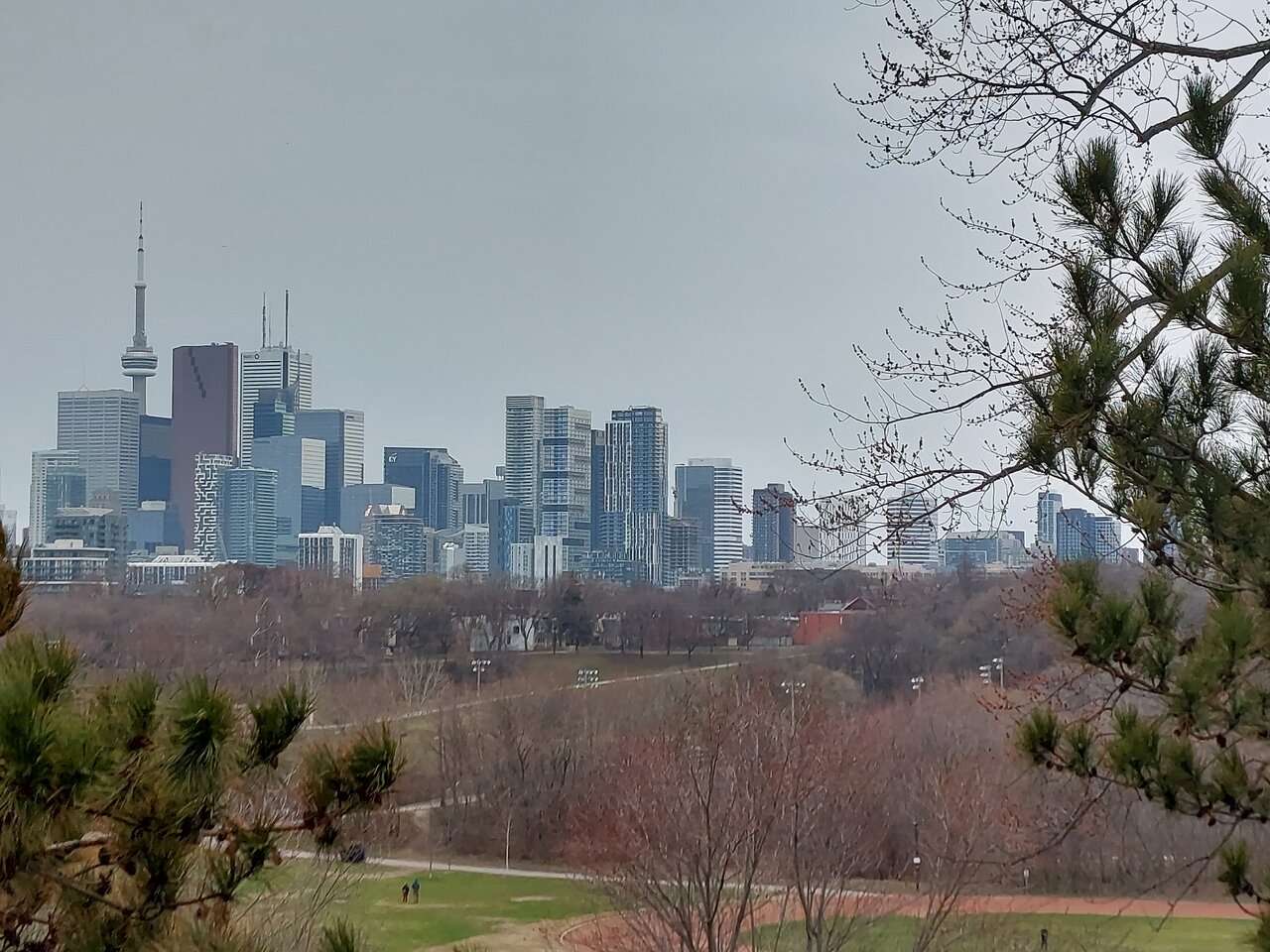 20220415_164504.jpg