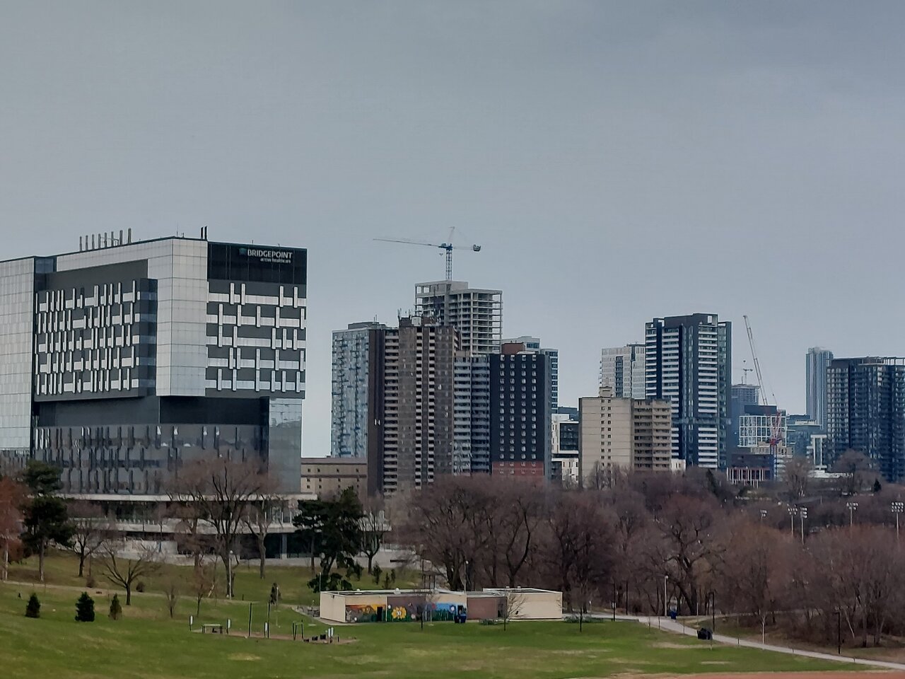 20220415_164729.jpg