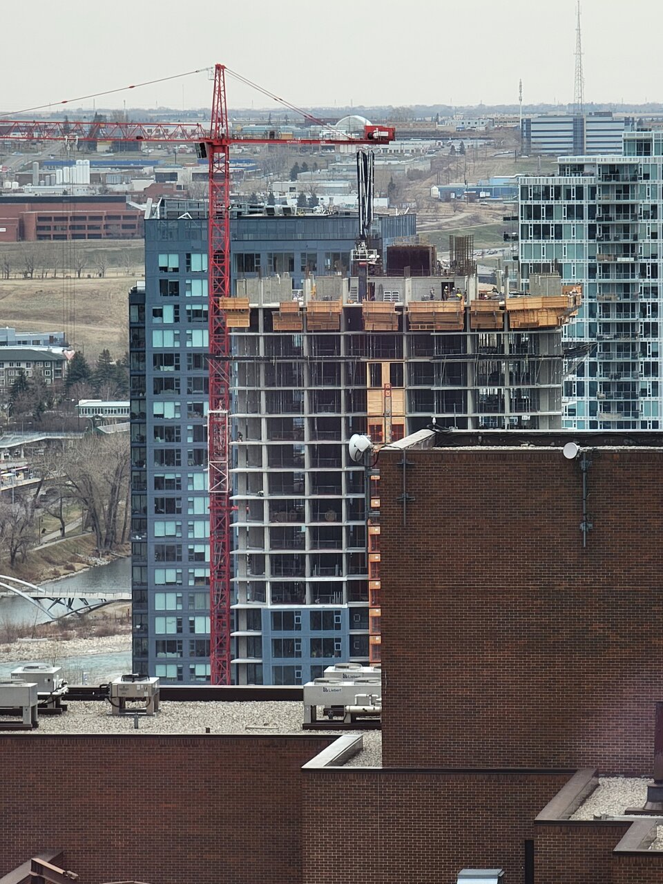 20220426_140447.jpg