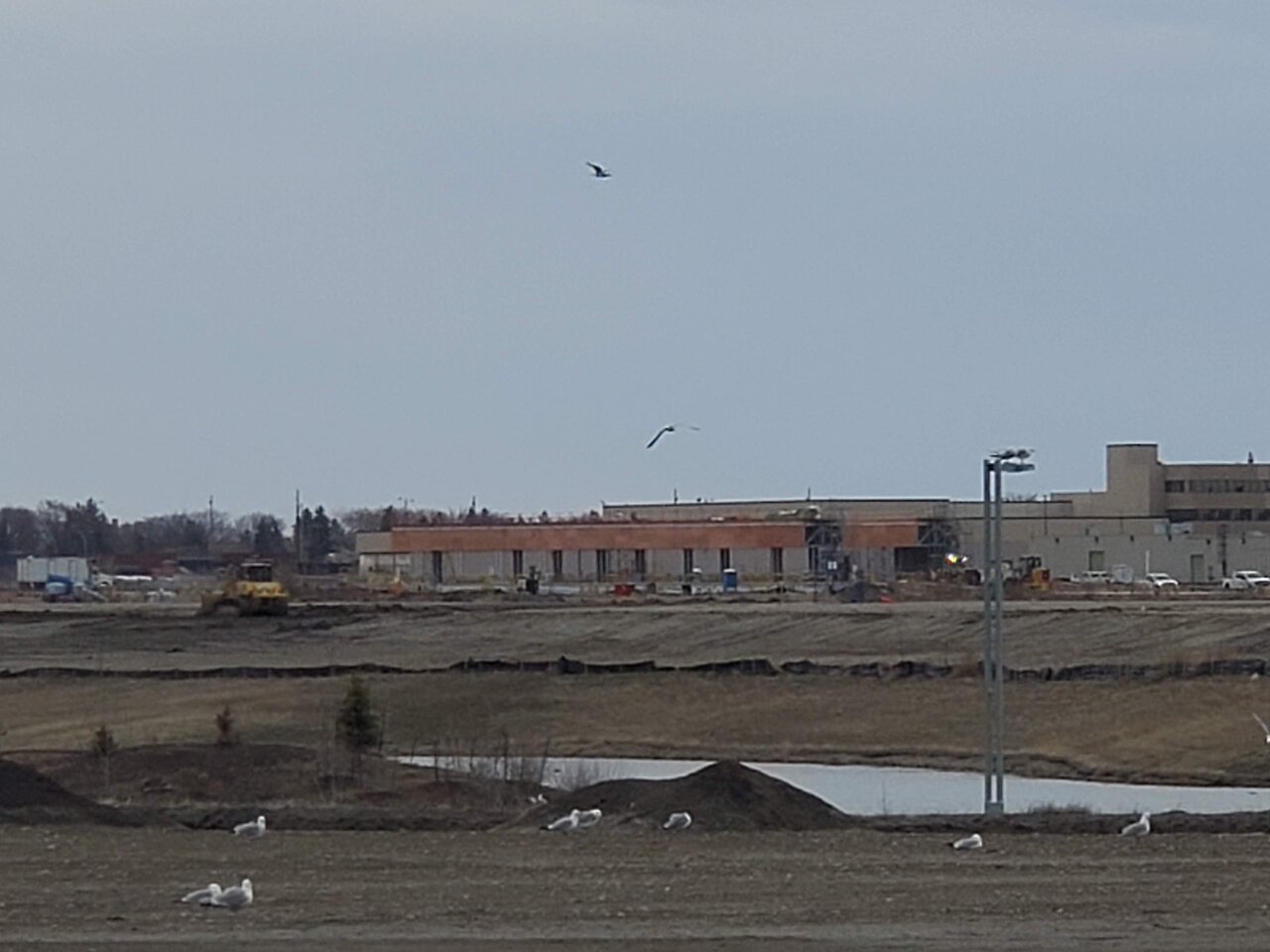 20220426_171307.jpg