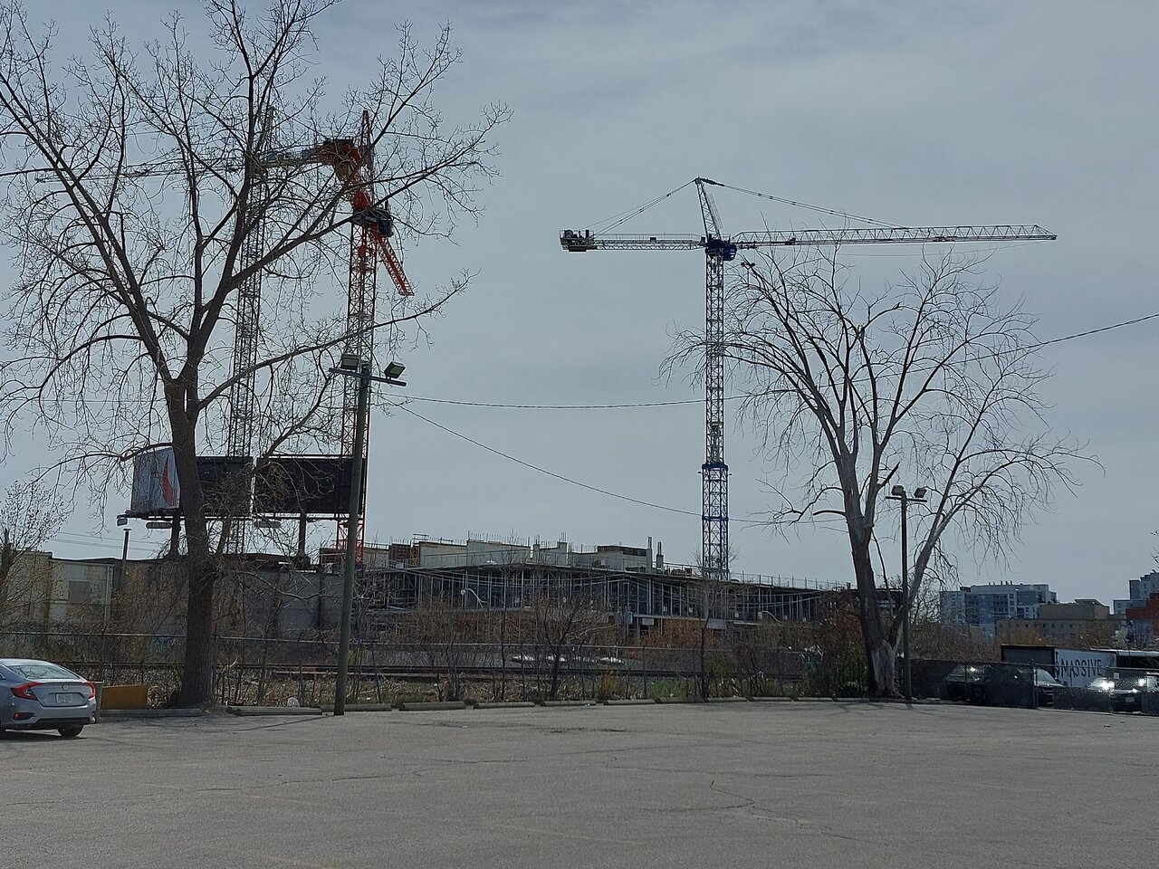 20220430_145323.jpg