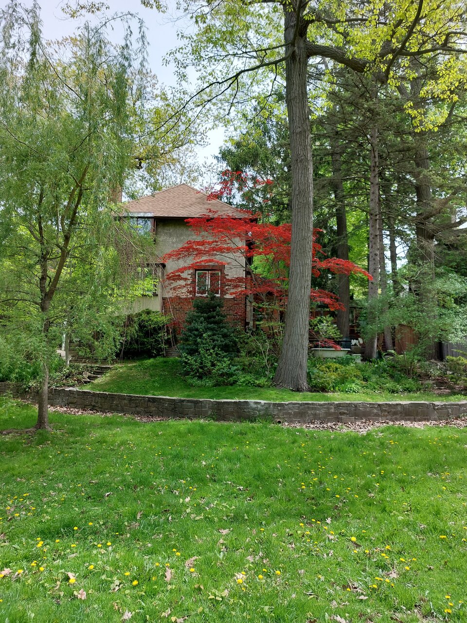20220523_122545.jpg