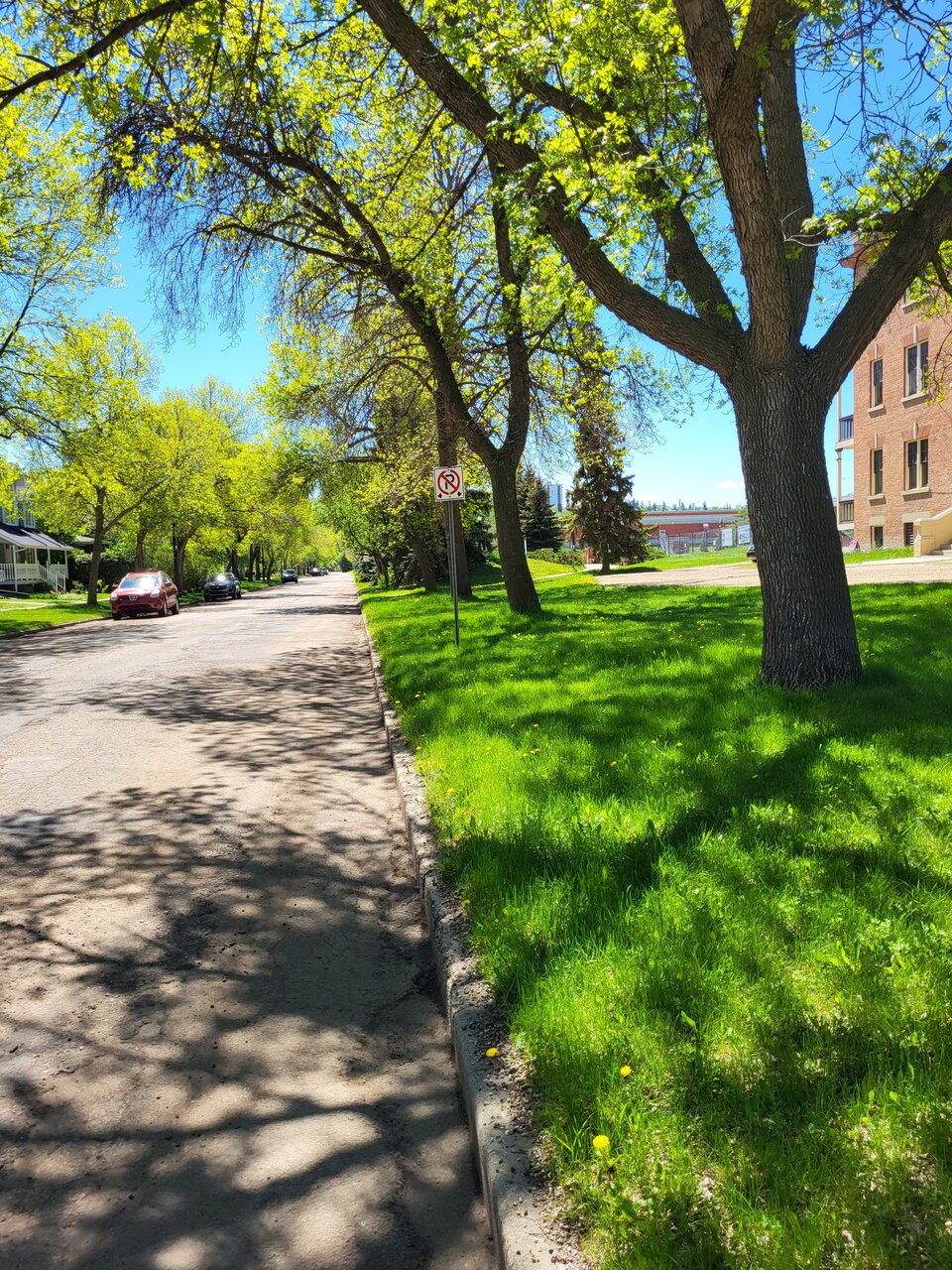 20220530_125437.jpg