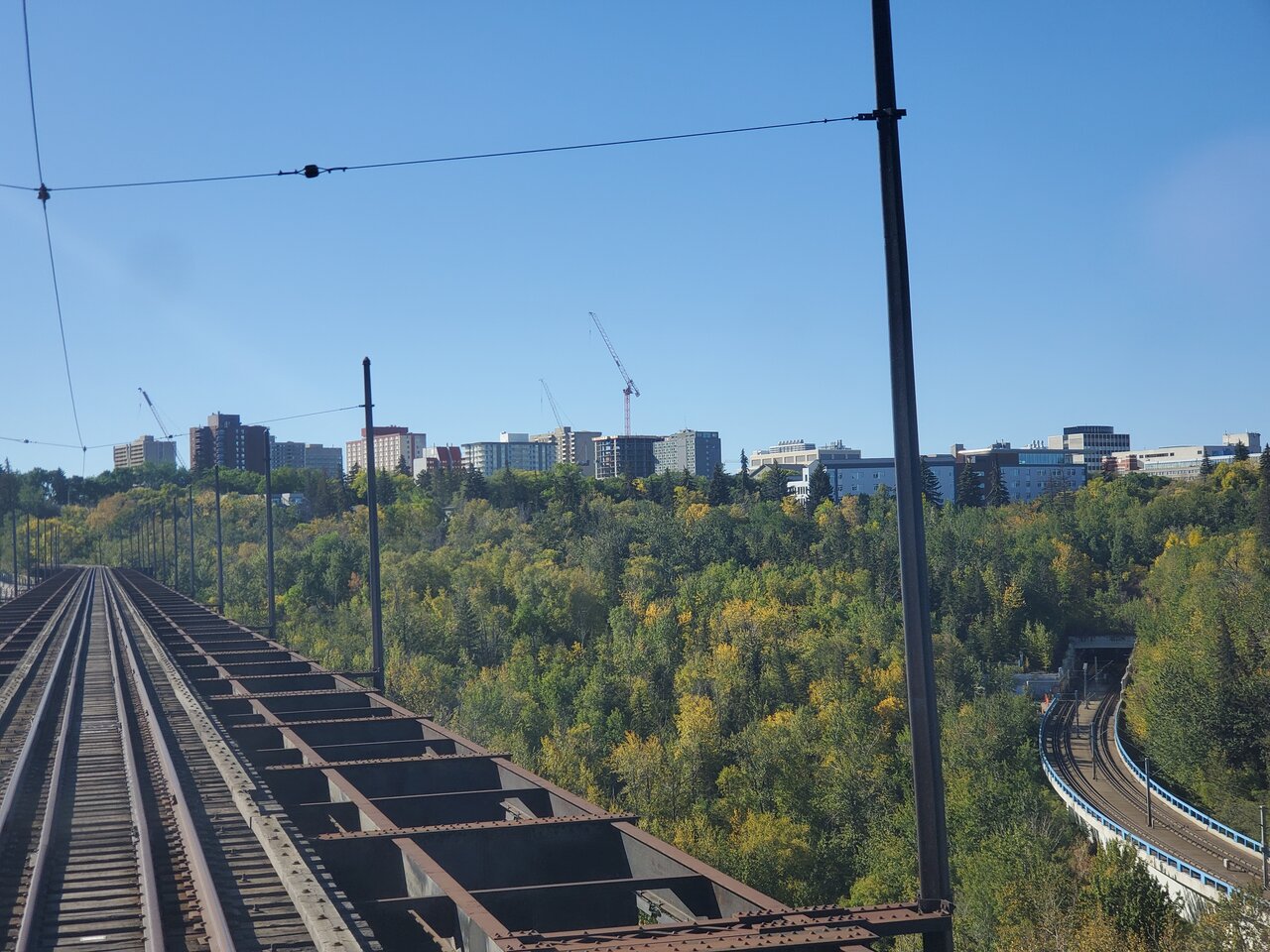 20220924_114600.jpg
