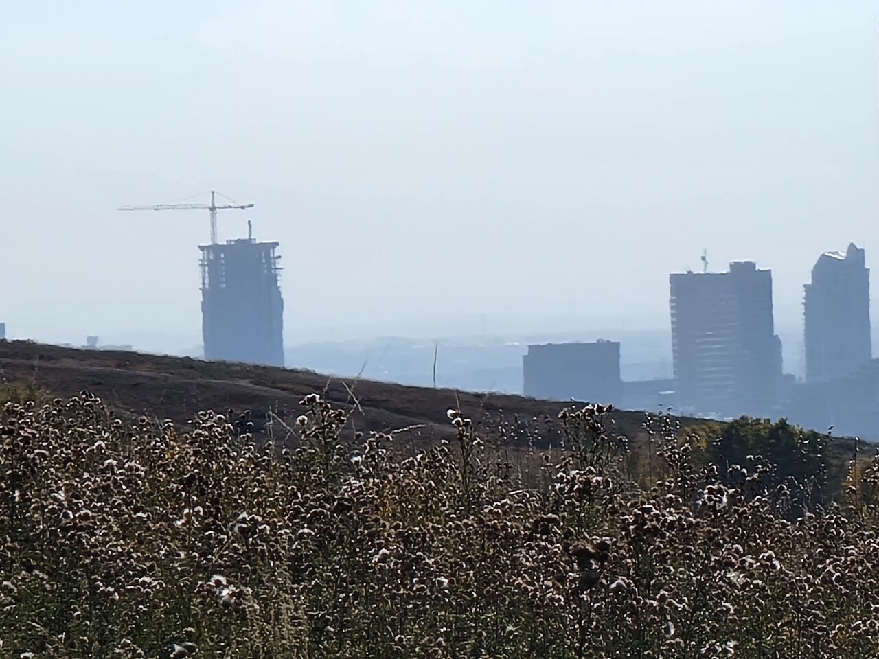 20220928_120345.jpg
