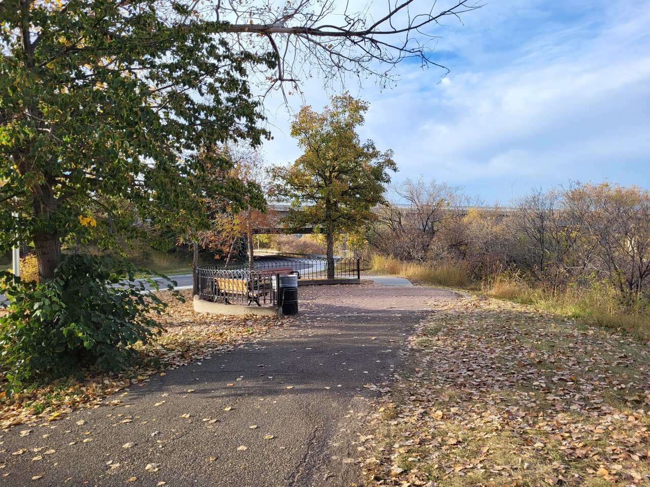 20221010_094053.jpg