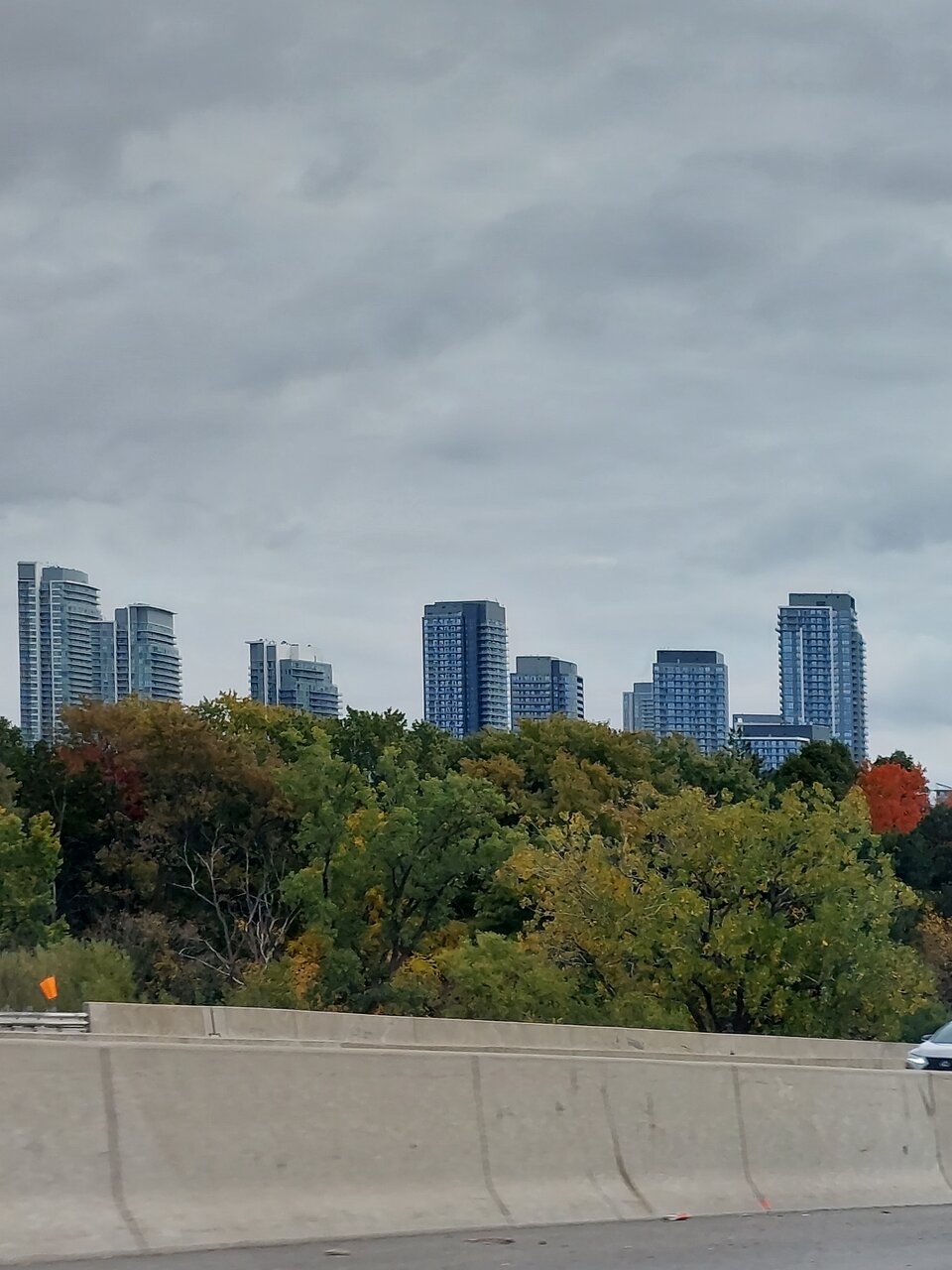 20221016_103337.jpg