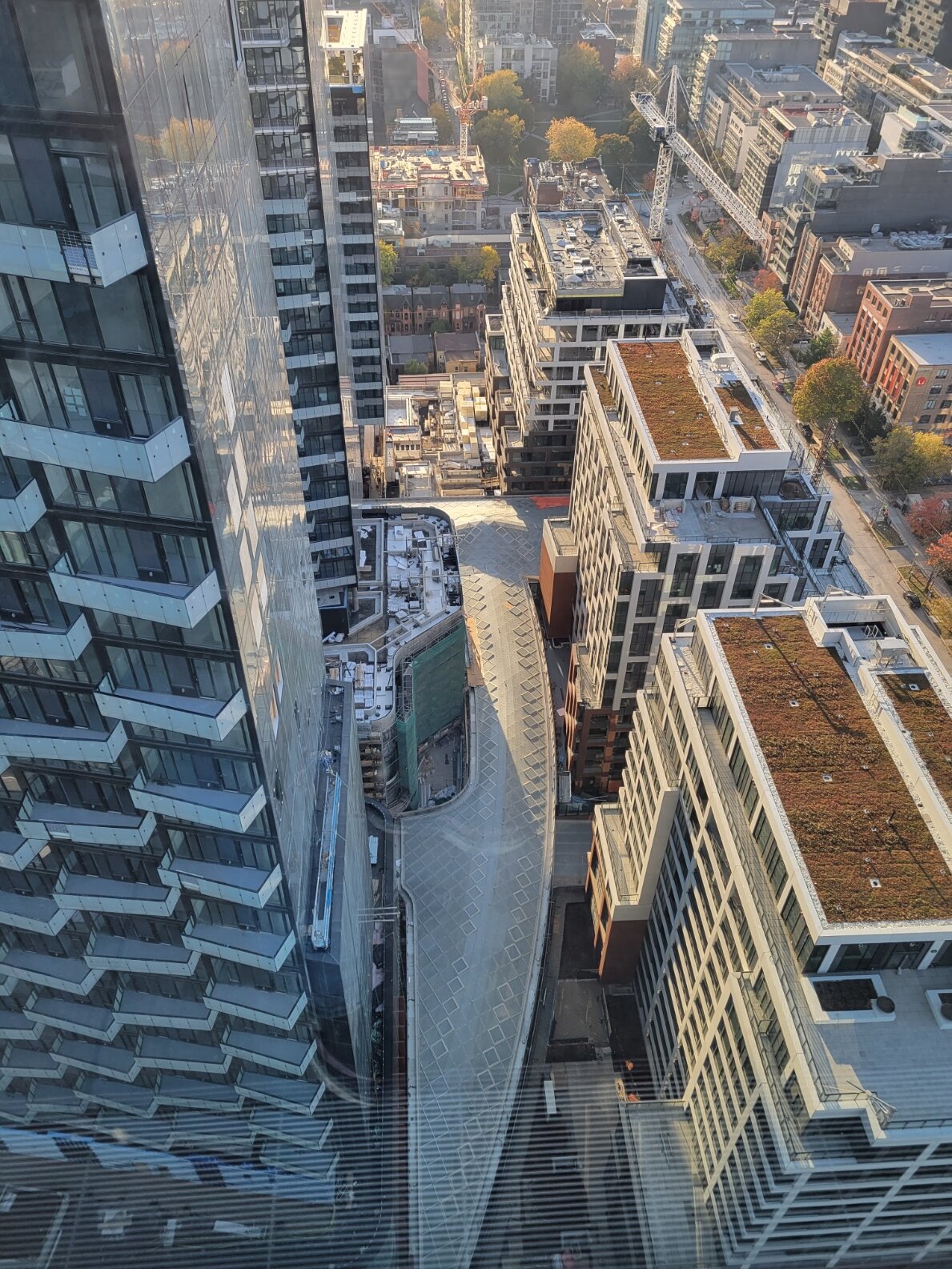 20221021_172015.jpg
