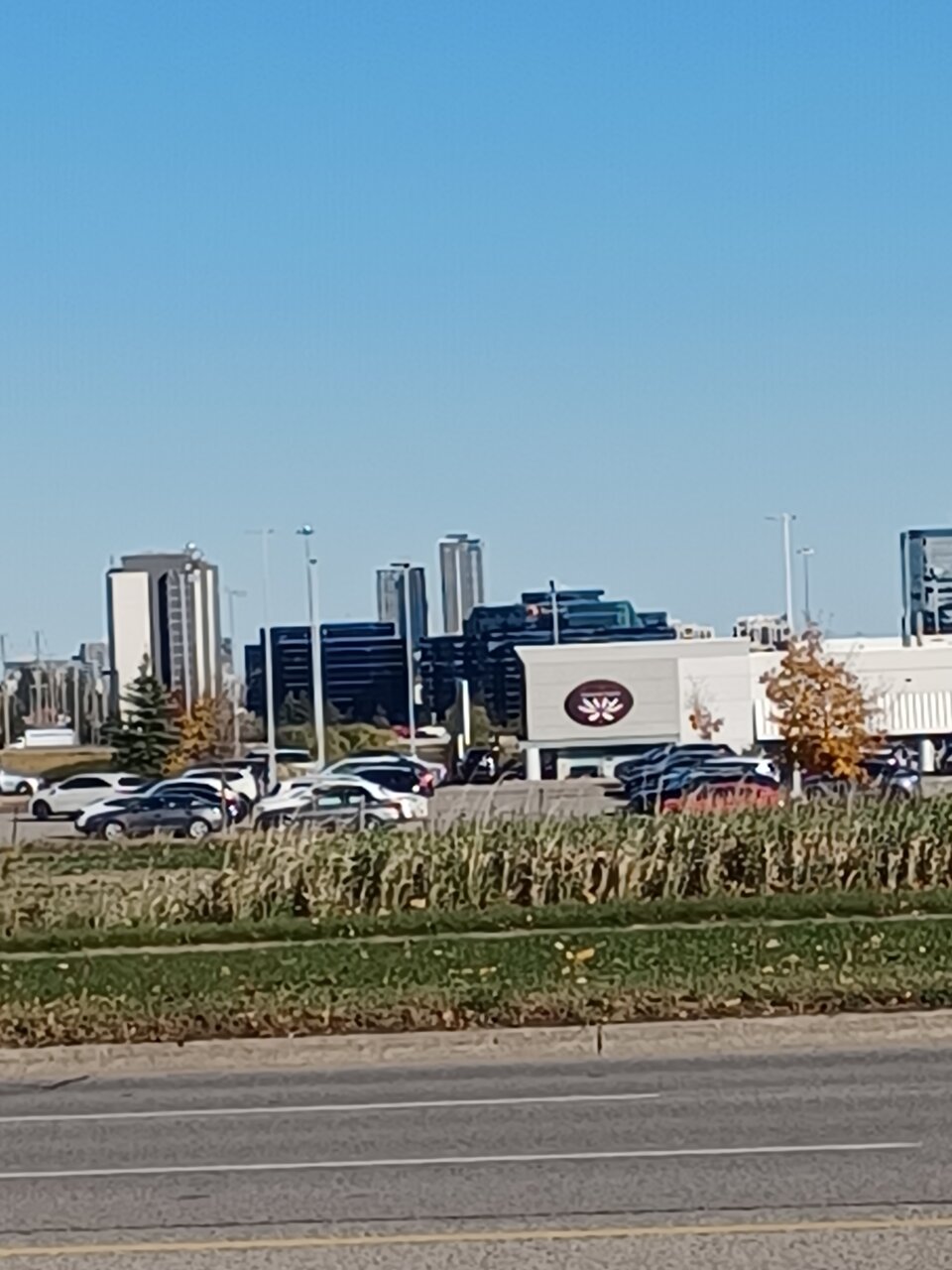 20221027_153247.jpg