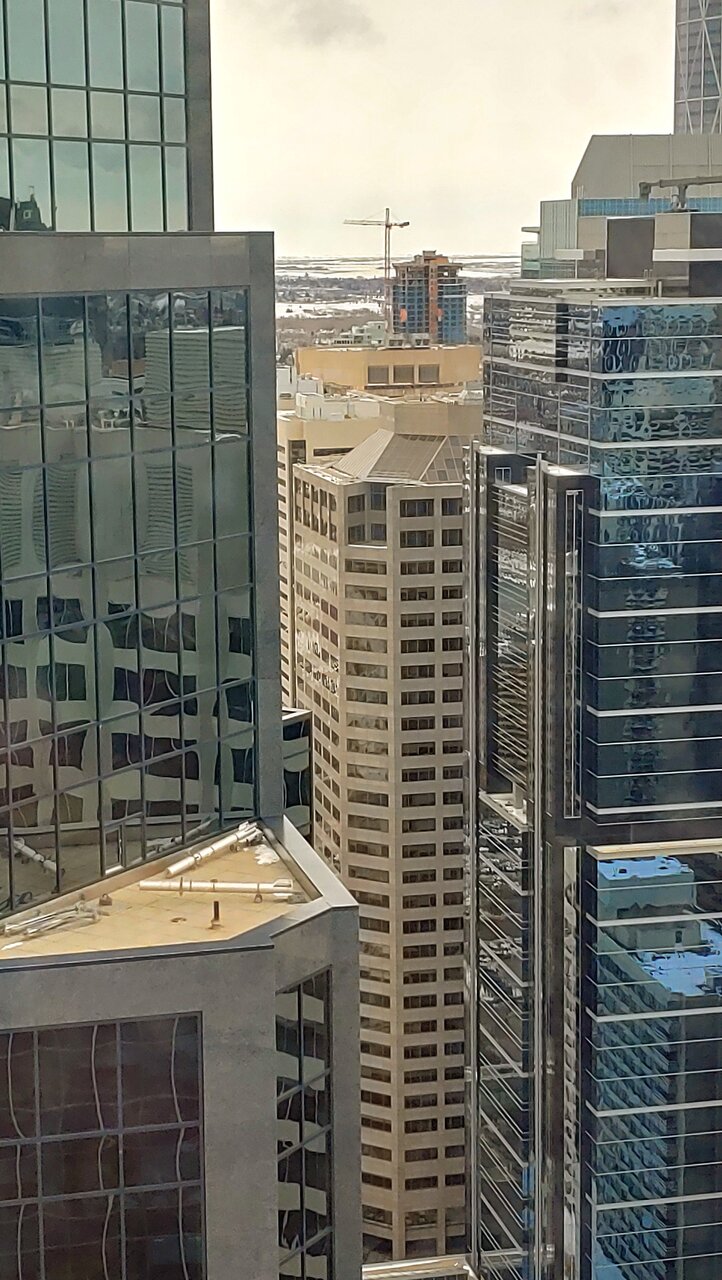 20221116_104246_HDR.jpg