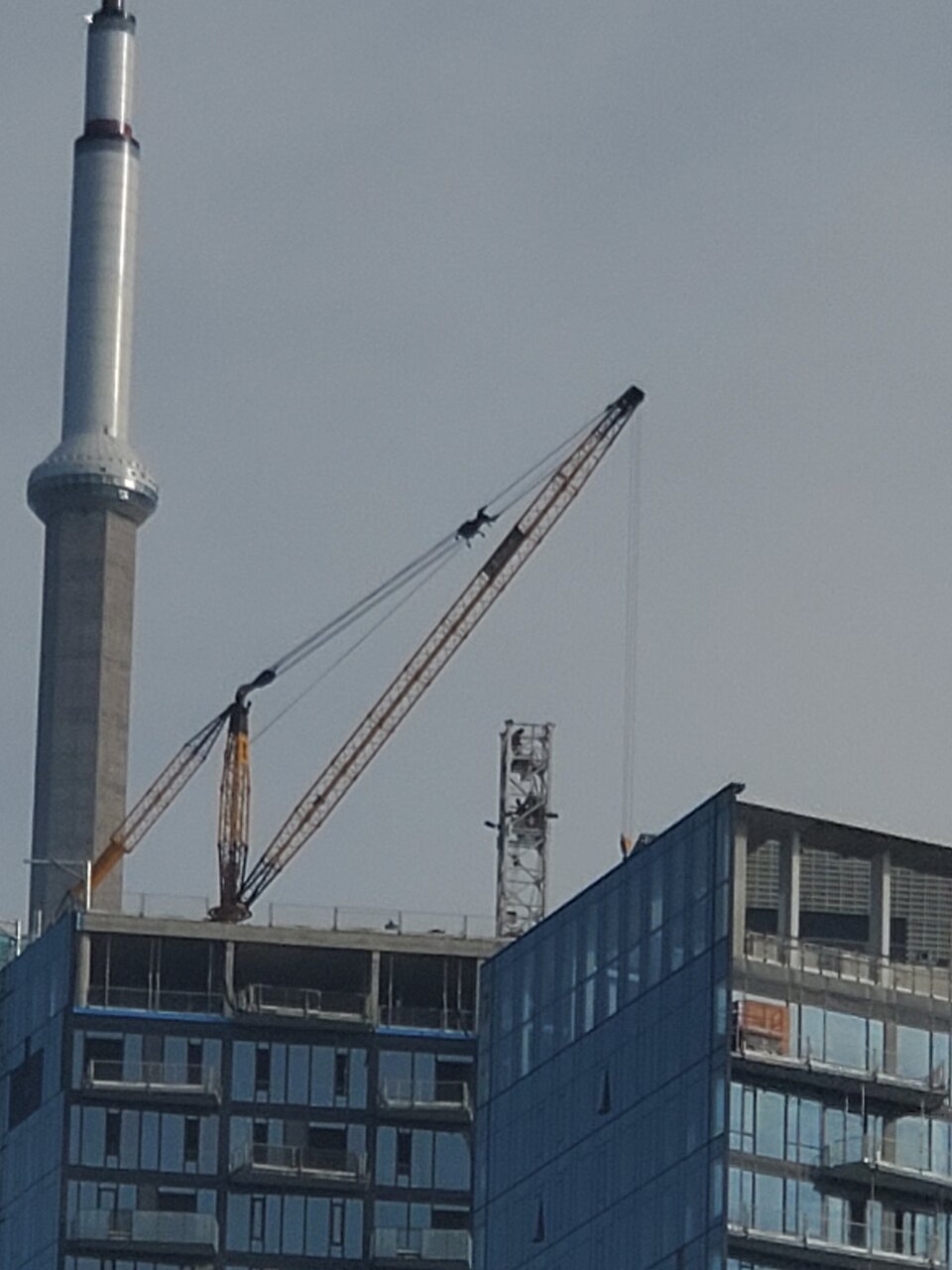 20221124_133143.jpg
