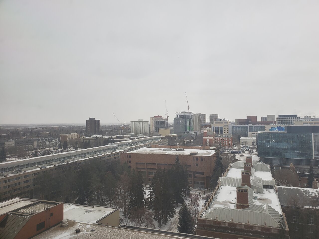 20221128_135010.jpg