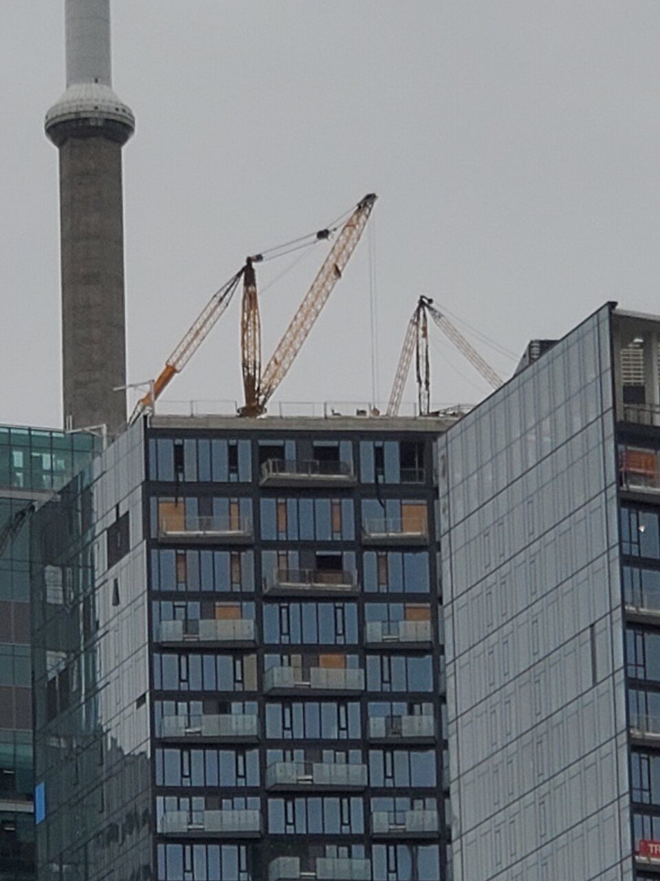 20221206_110043.jpg