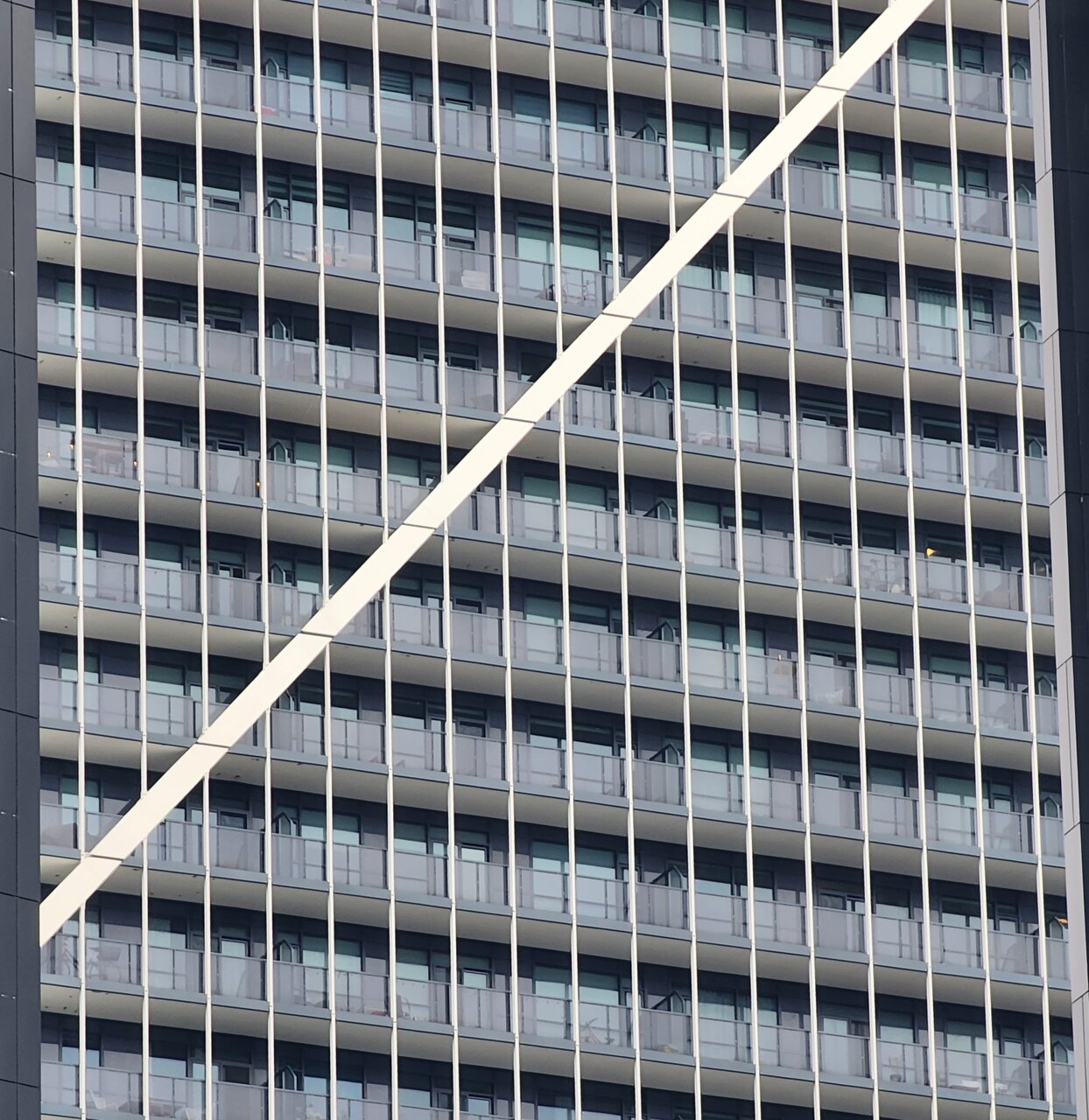 20230106_134908.jpg