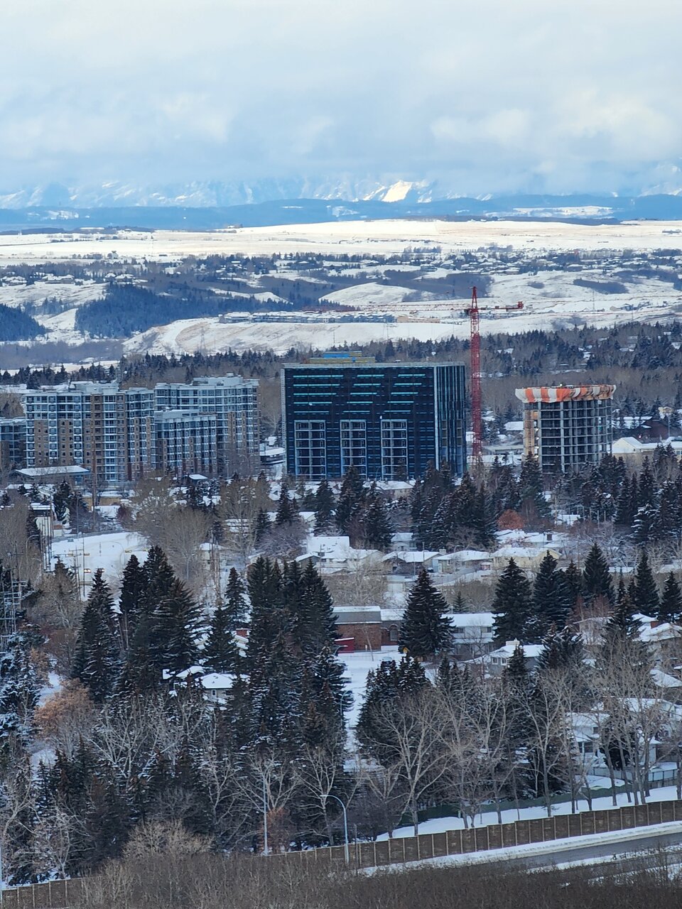20230122_115719.jpg