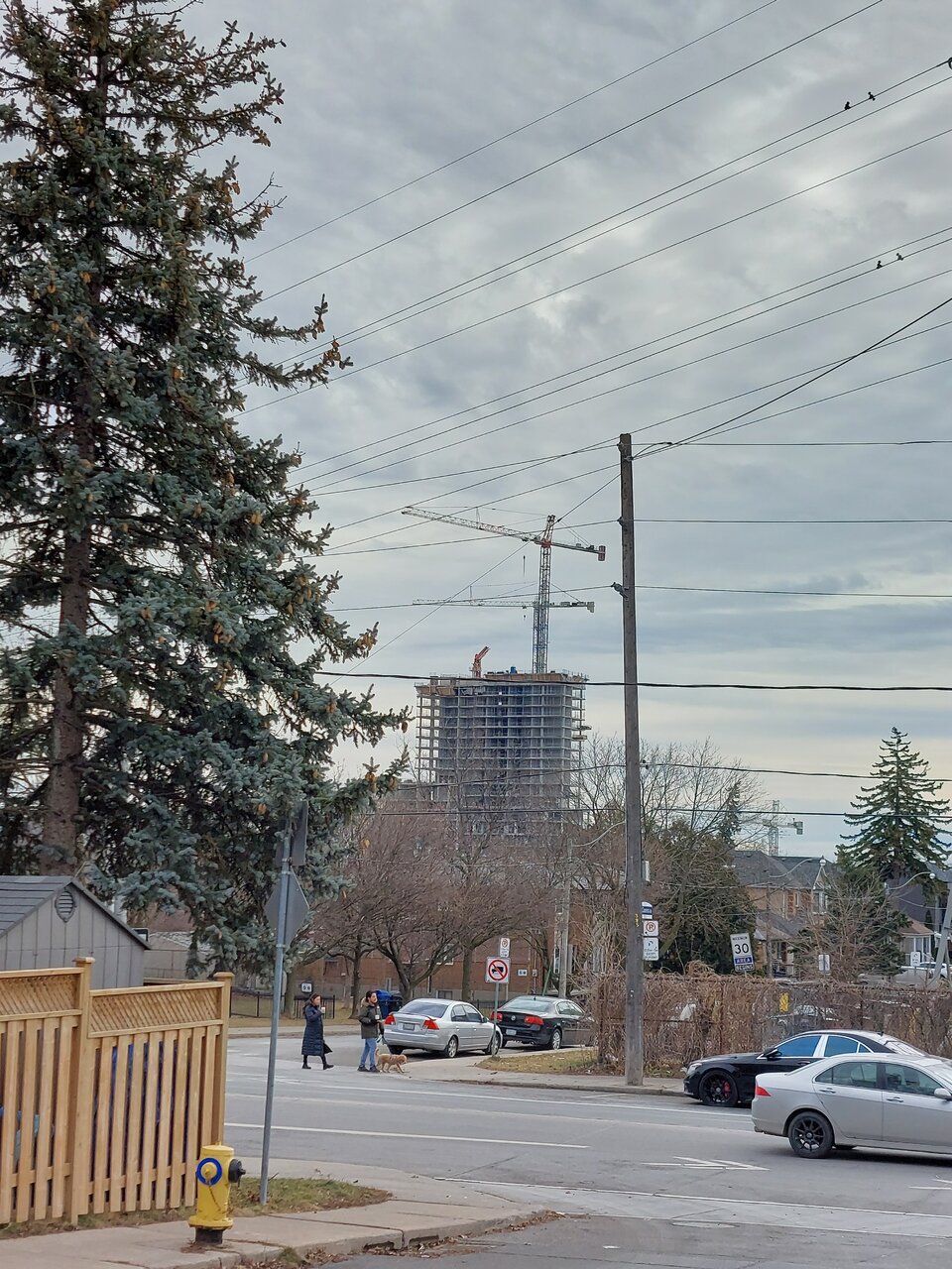 20230219_115208.jpg