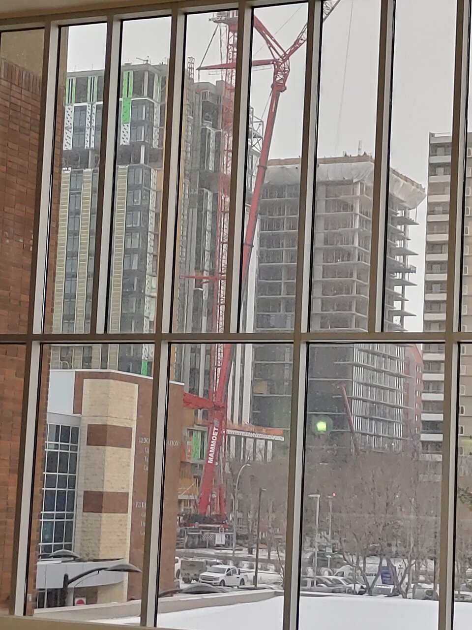 20230310_082125_HDR.jpg