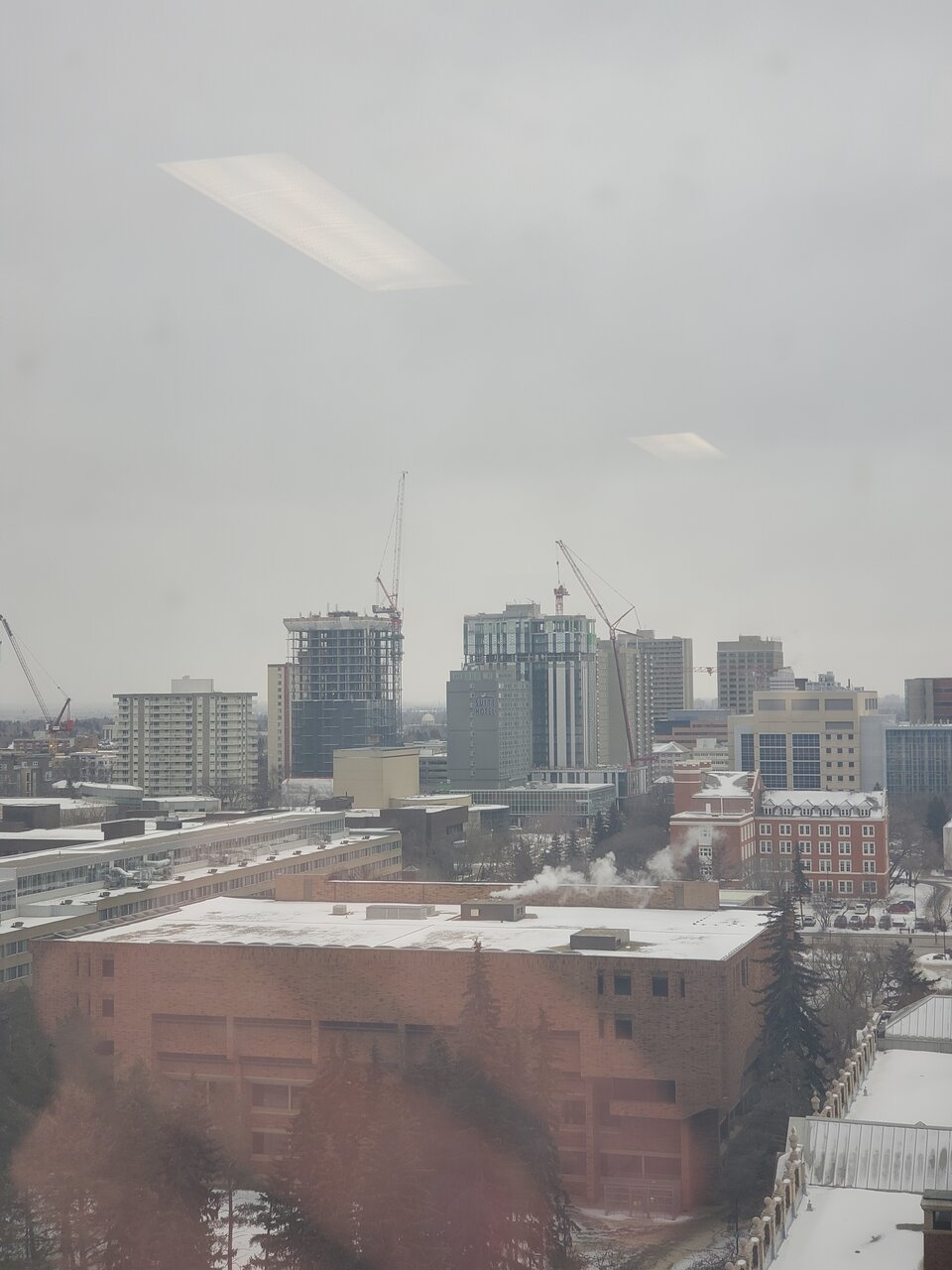 20230310_151902.jpg