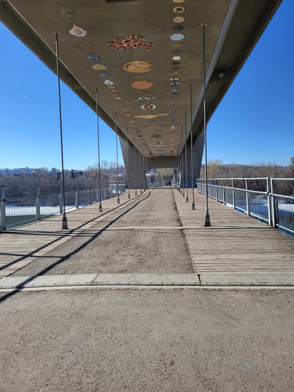 20230408_092901.jpg