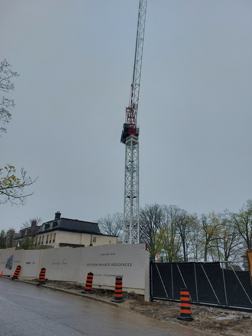 20230429_161216.jpg