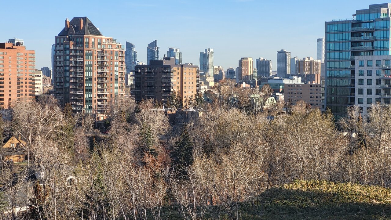 20230430_075957.jpg
