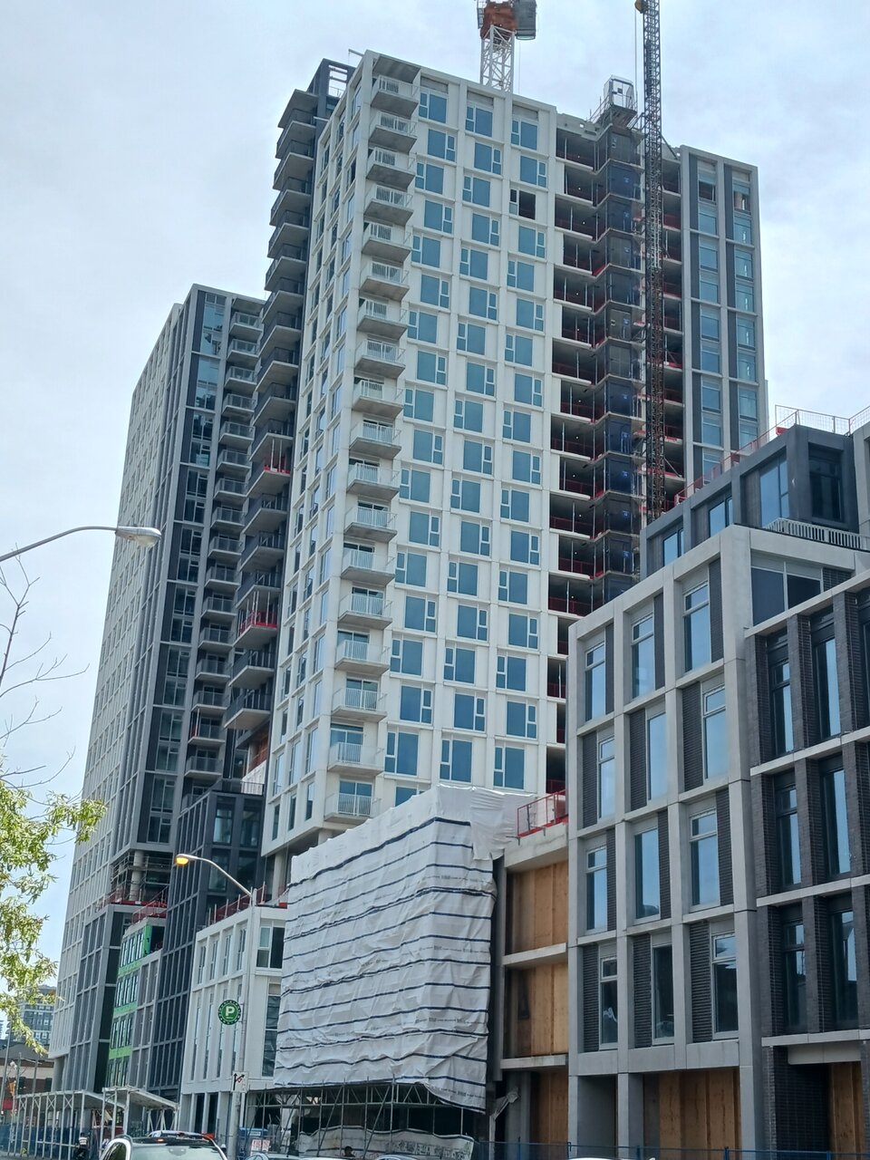 20230508_114616.jpg
