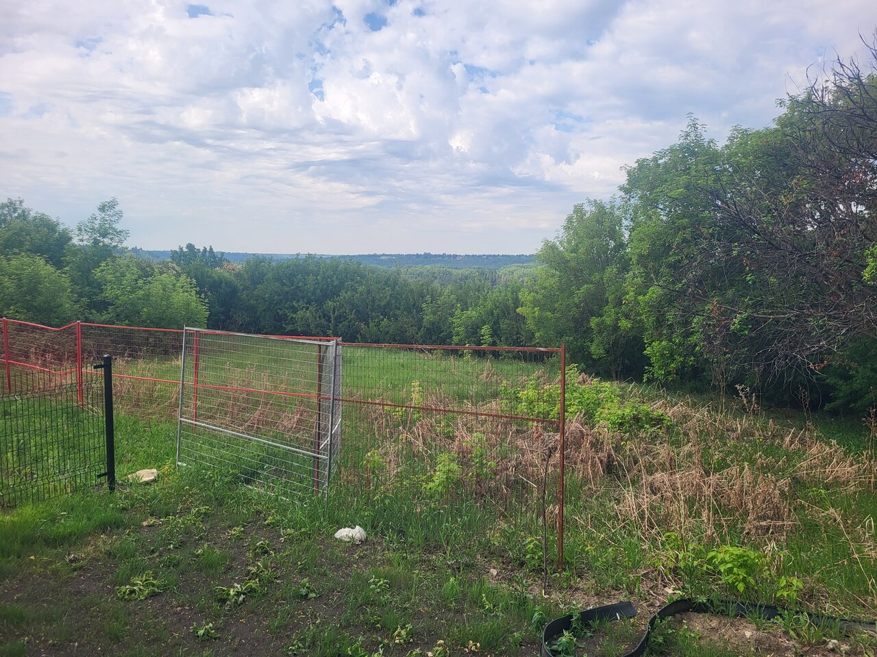 20230529_101113.jpg