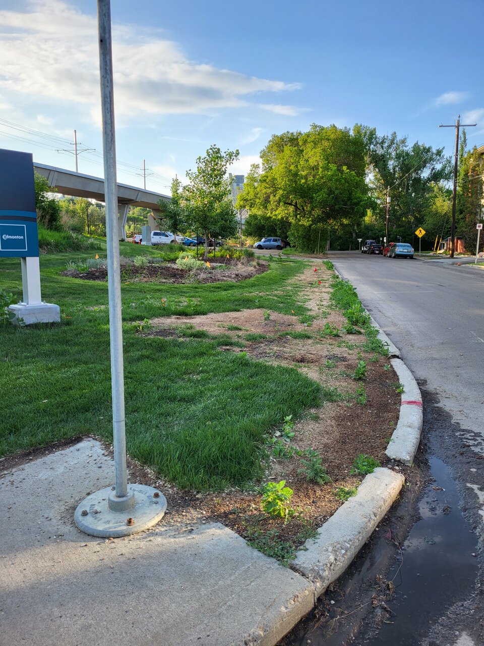 20230529_200451.jpg