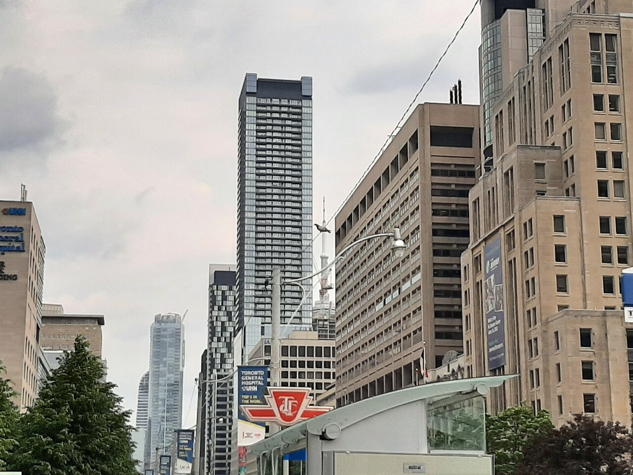 20230609_171851.jpg