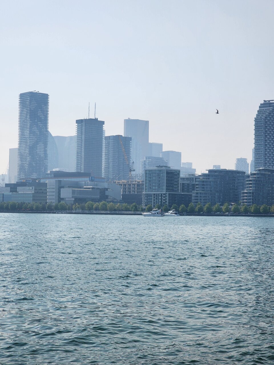20230618_162136.jpg
