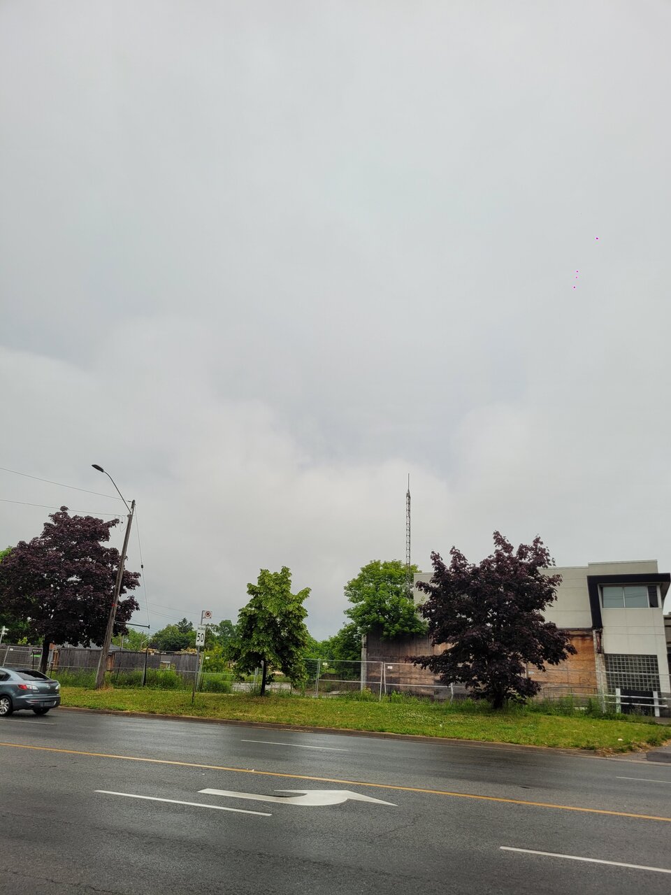 20230624_084417.jpg