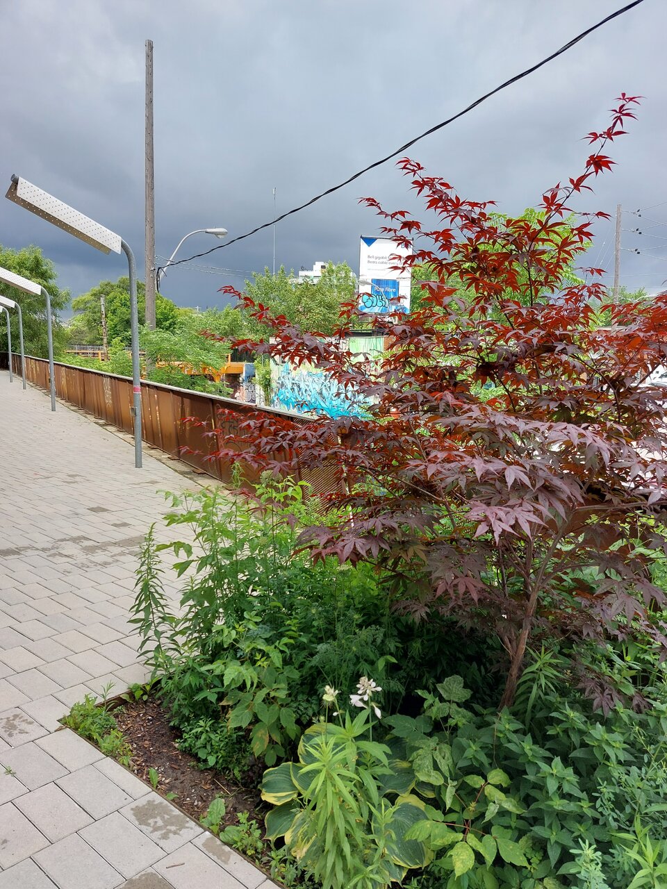20230627_121423.jpg