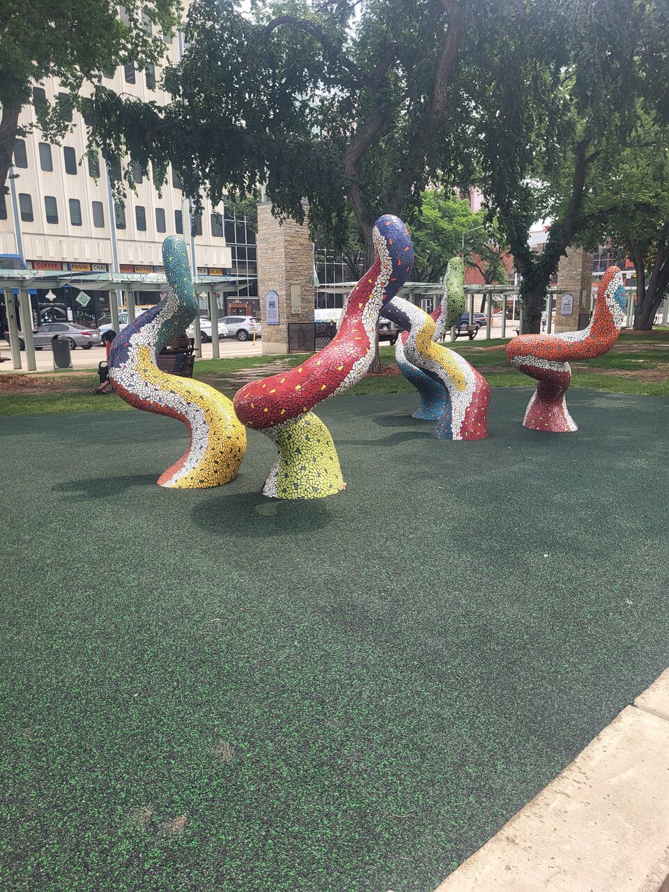 20230627_130659.jpg