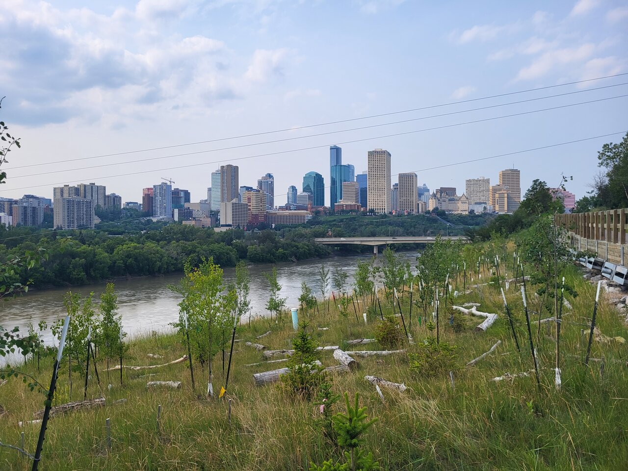 20230707_163815.jpg
